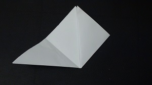 DSC06272.JPG