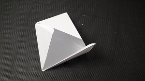 DSC06276.JPG