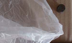 DSC08325.JPG