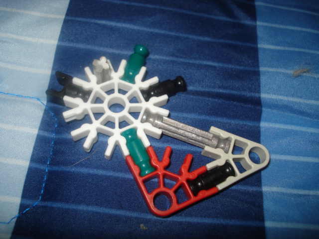 DSC08454.JPG
