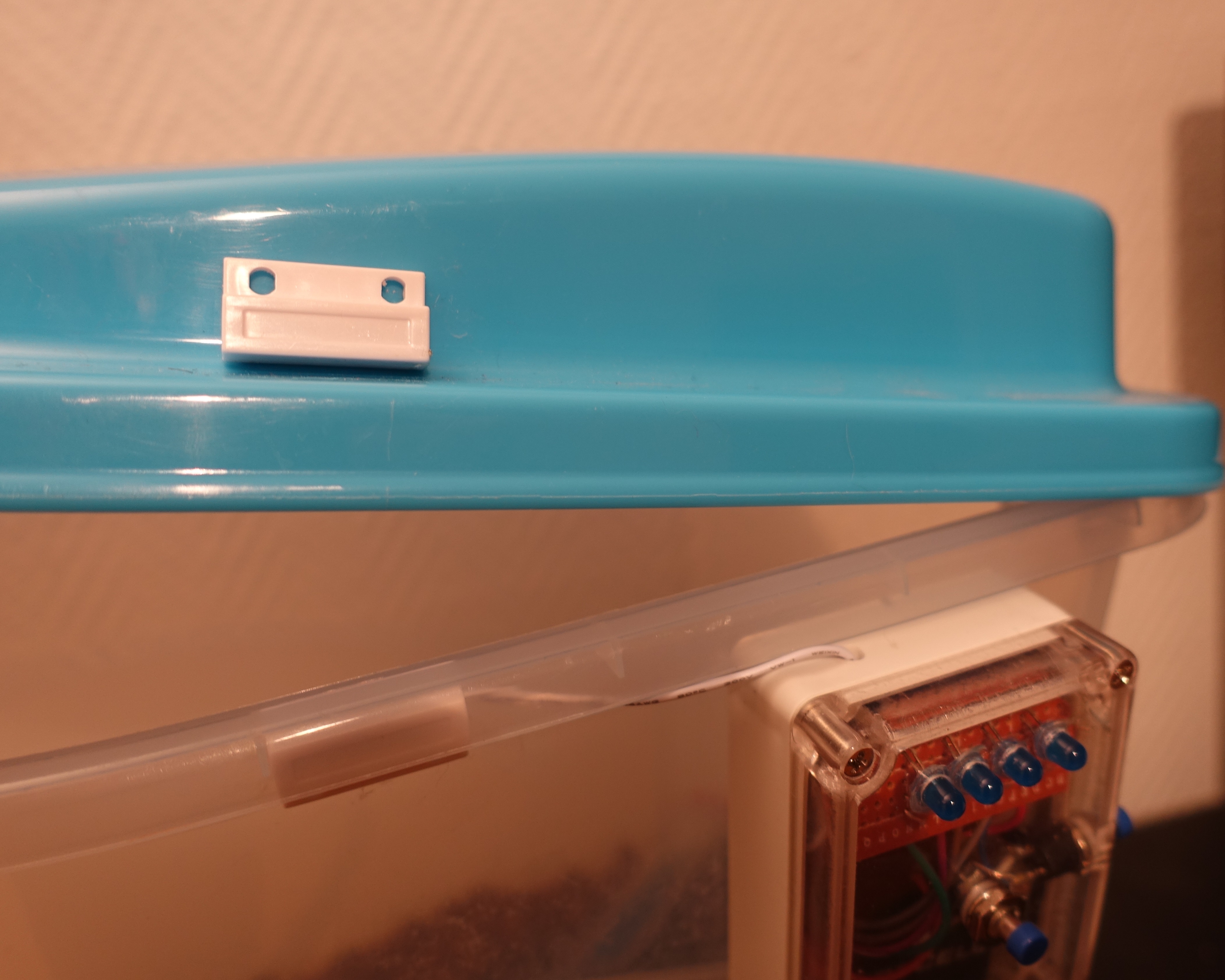 DSC09512.JPG