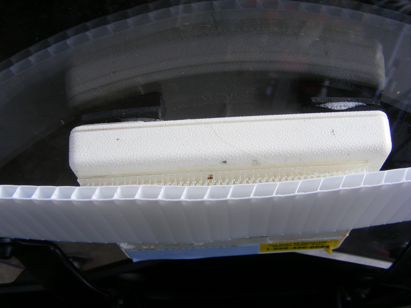 DSCF0420.JPG