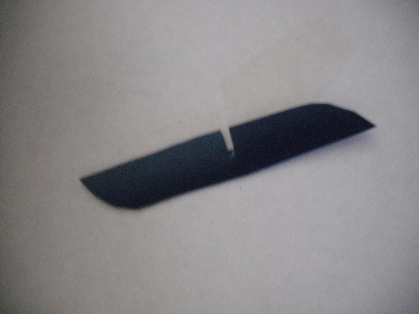 DSCF0486.JPG