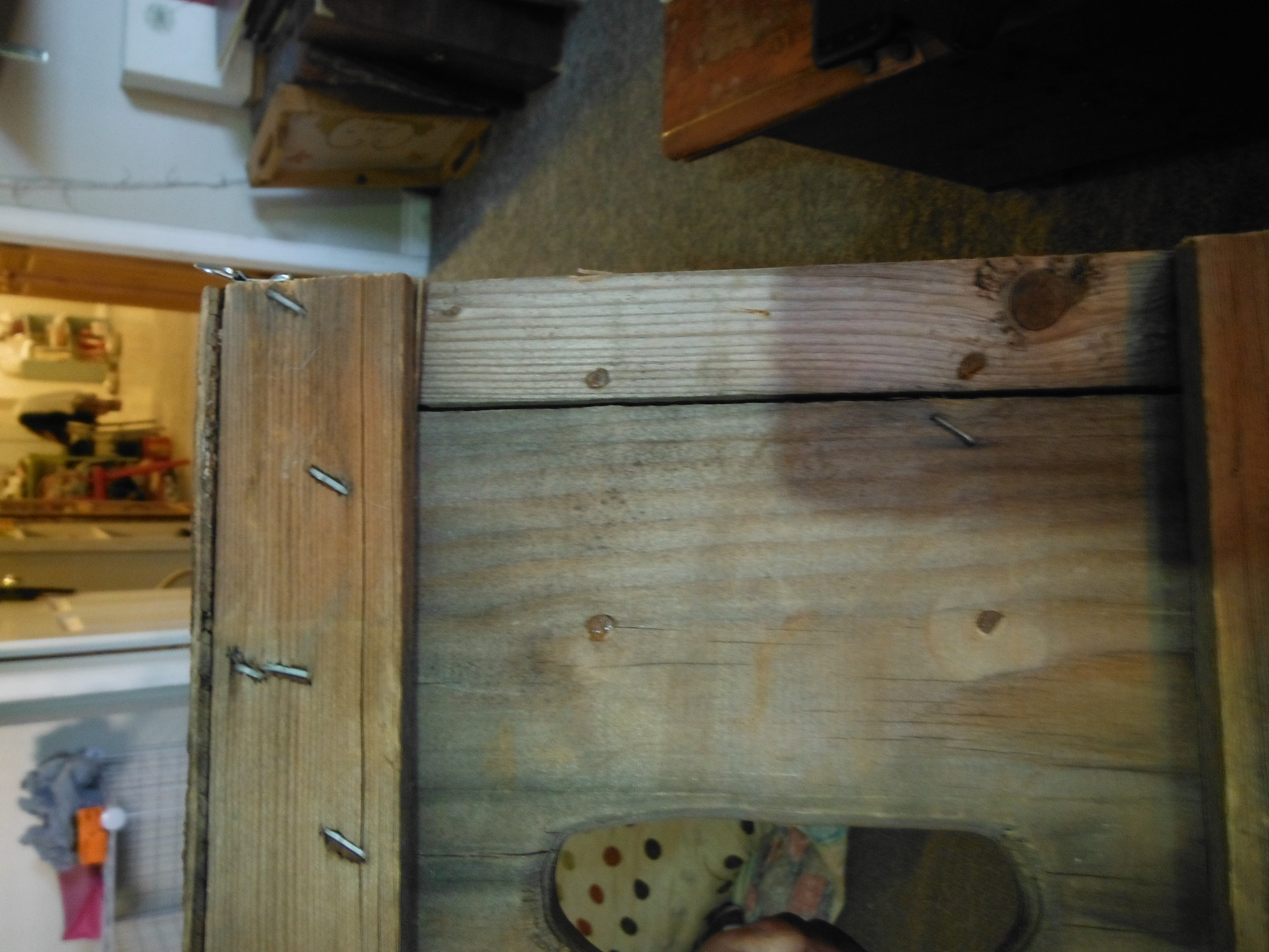DSCF0861.JPG
