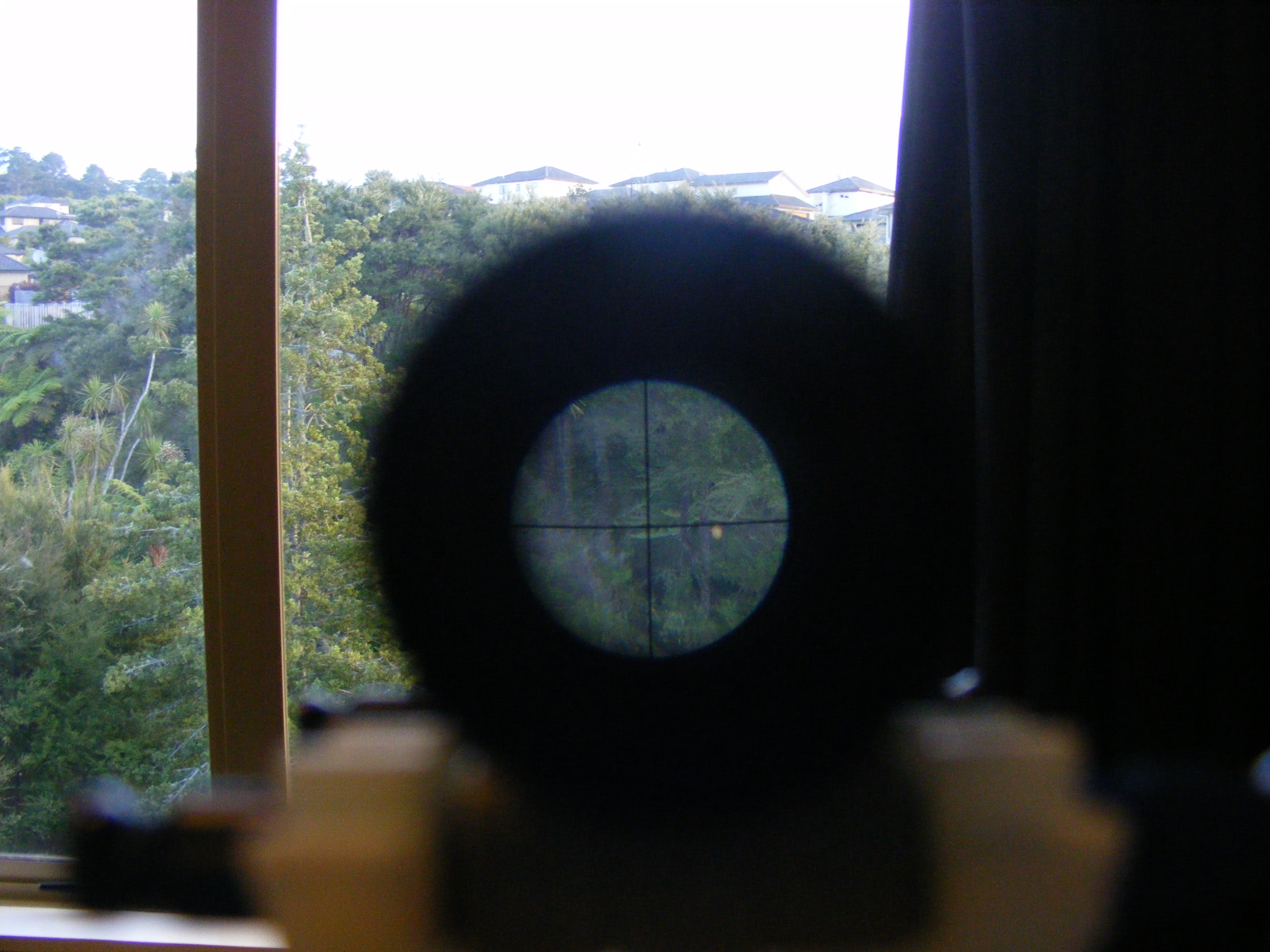 DSCF1008.JPG