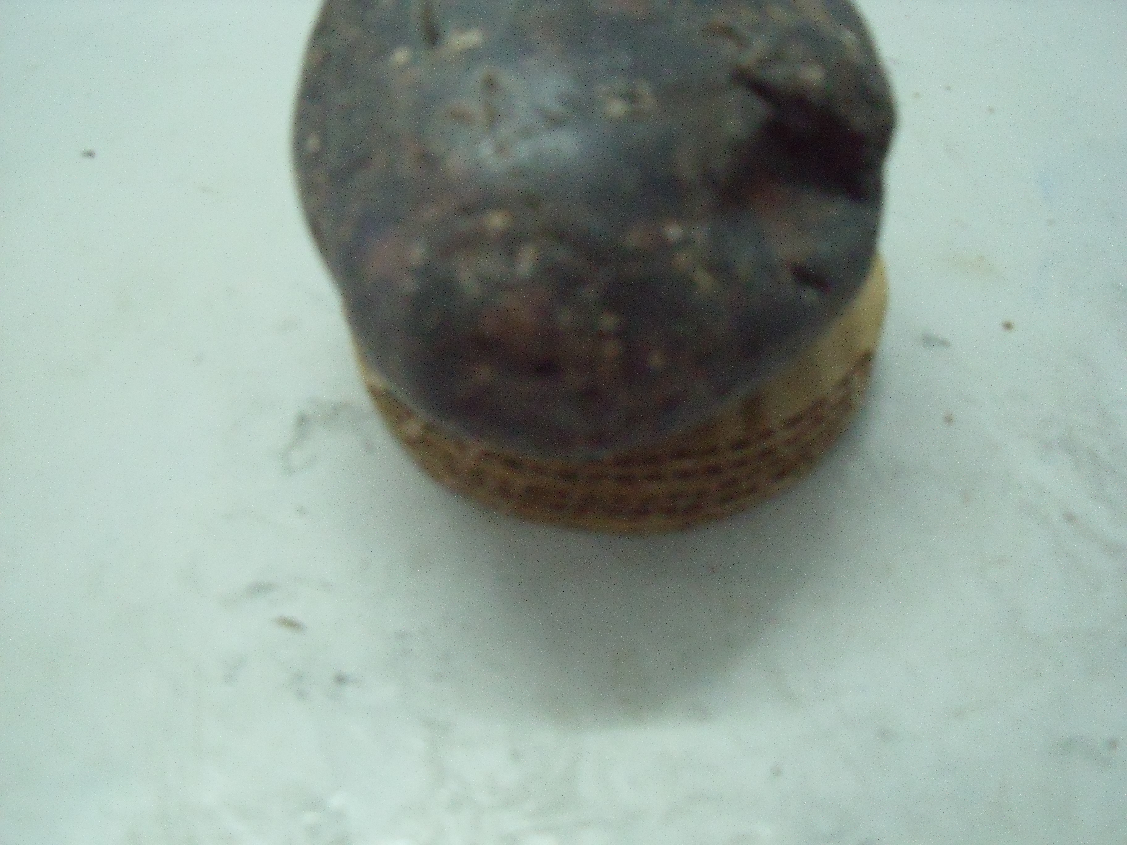 DSCF1285.JPG