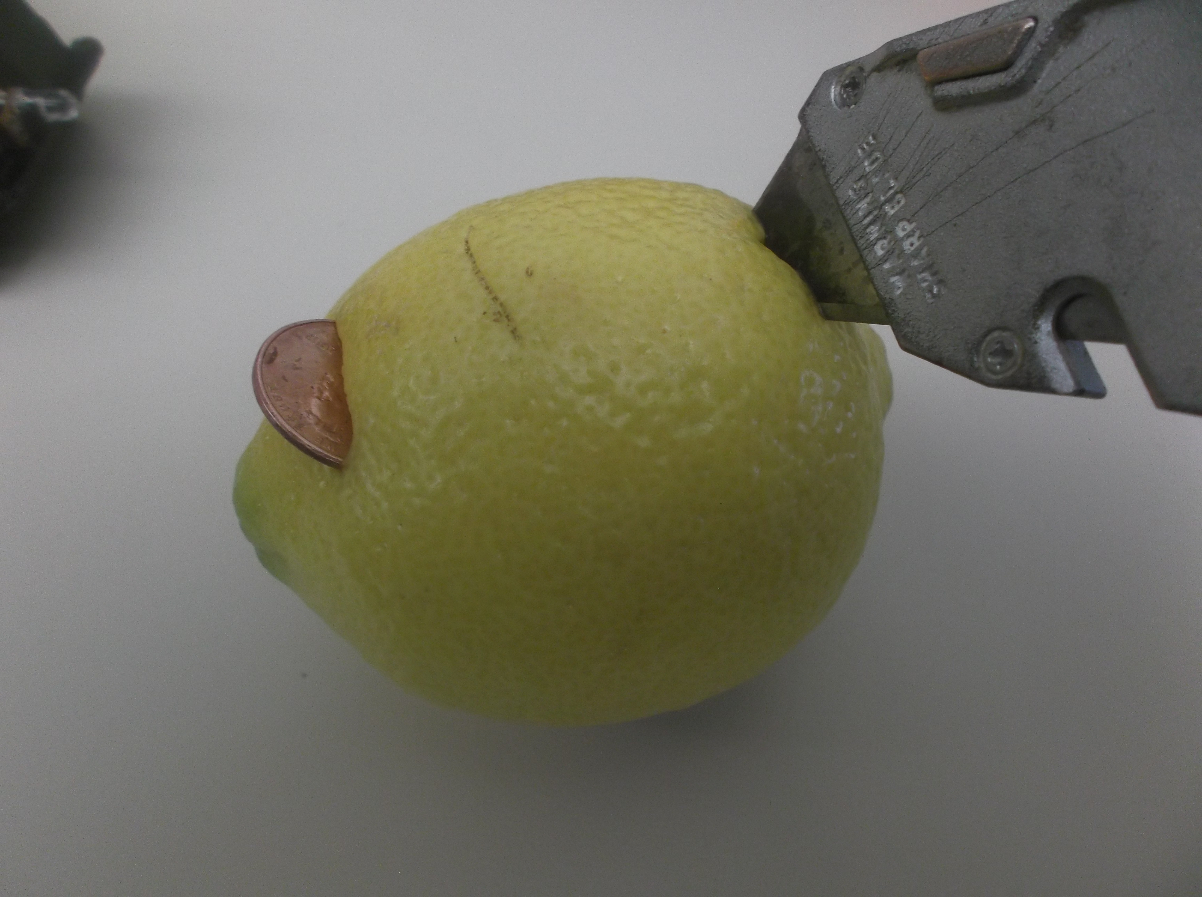 DSCF2652.JPG