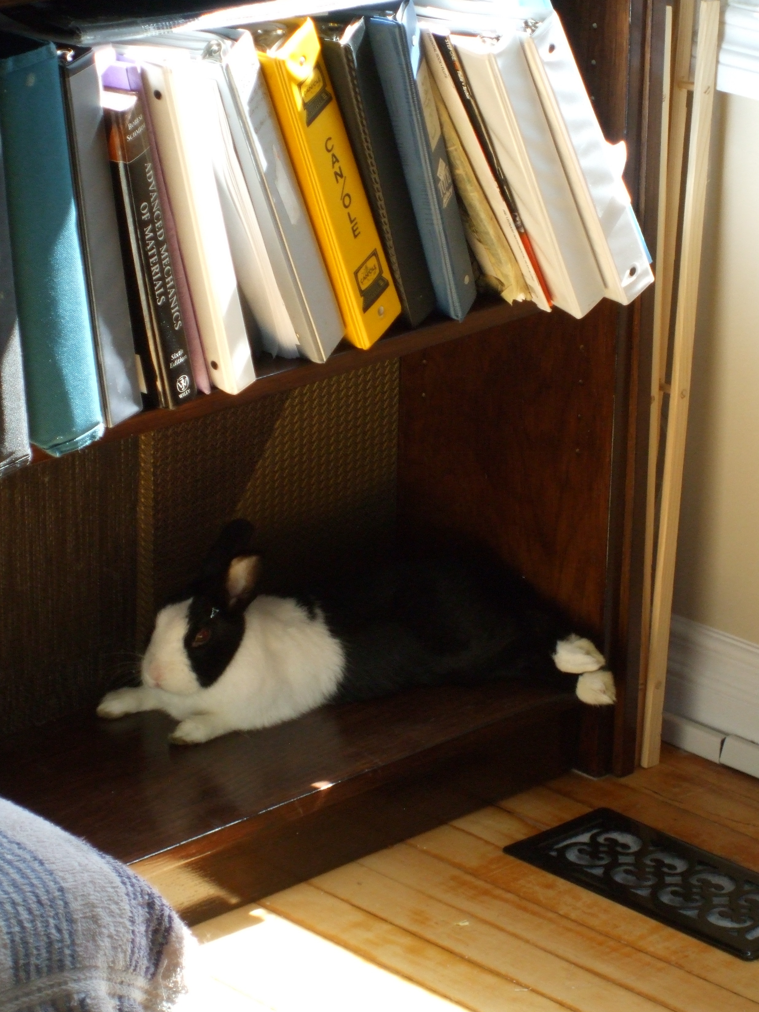 DSCF3628.JPG