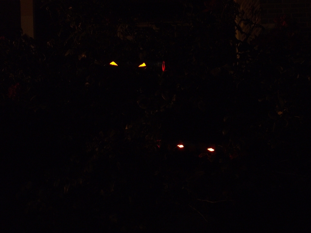 DSCF4359.JPG