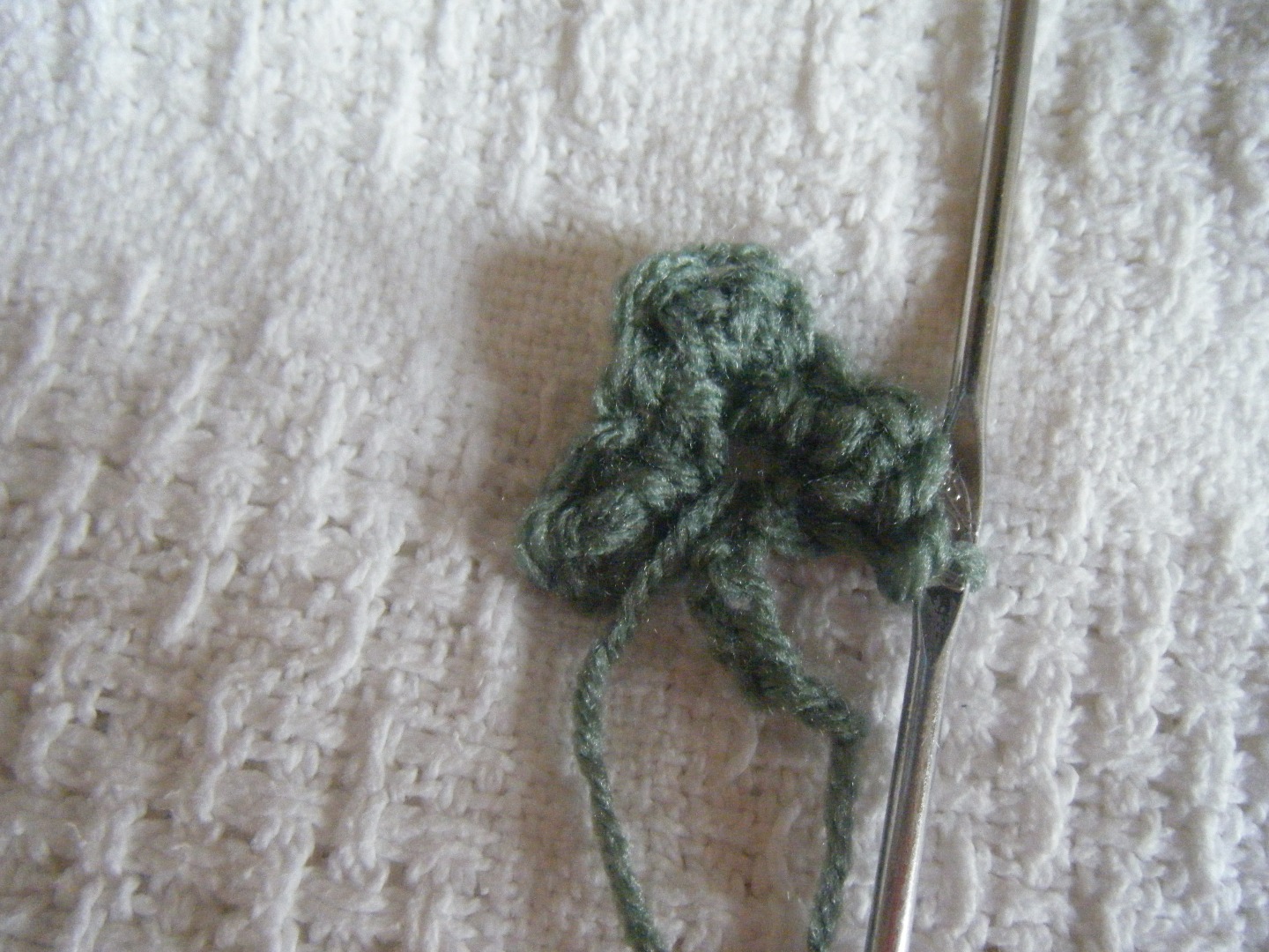 DSCF5008.JPG
