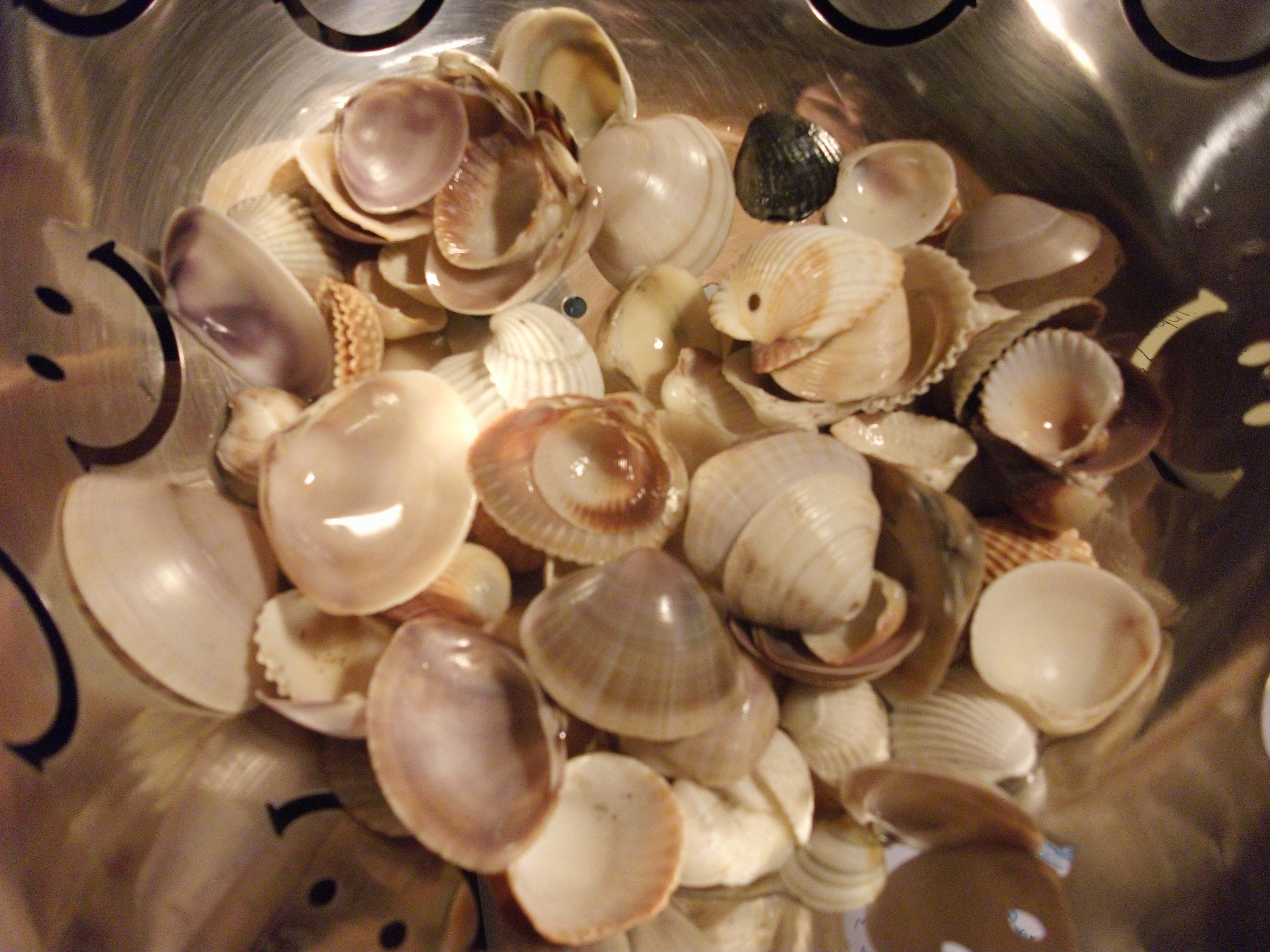 DSCF7374.JPG