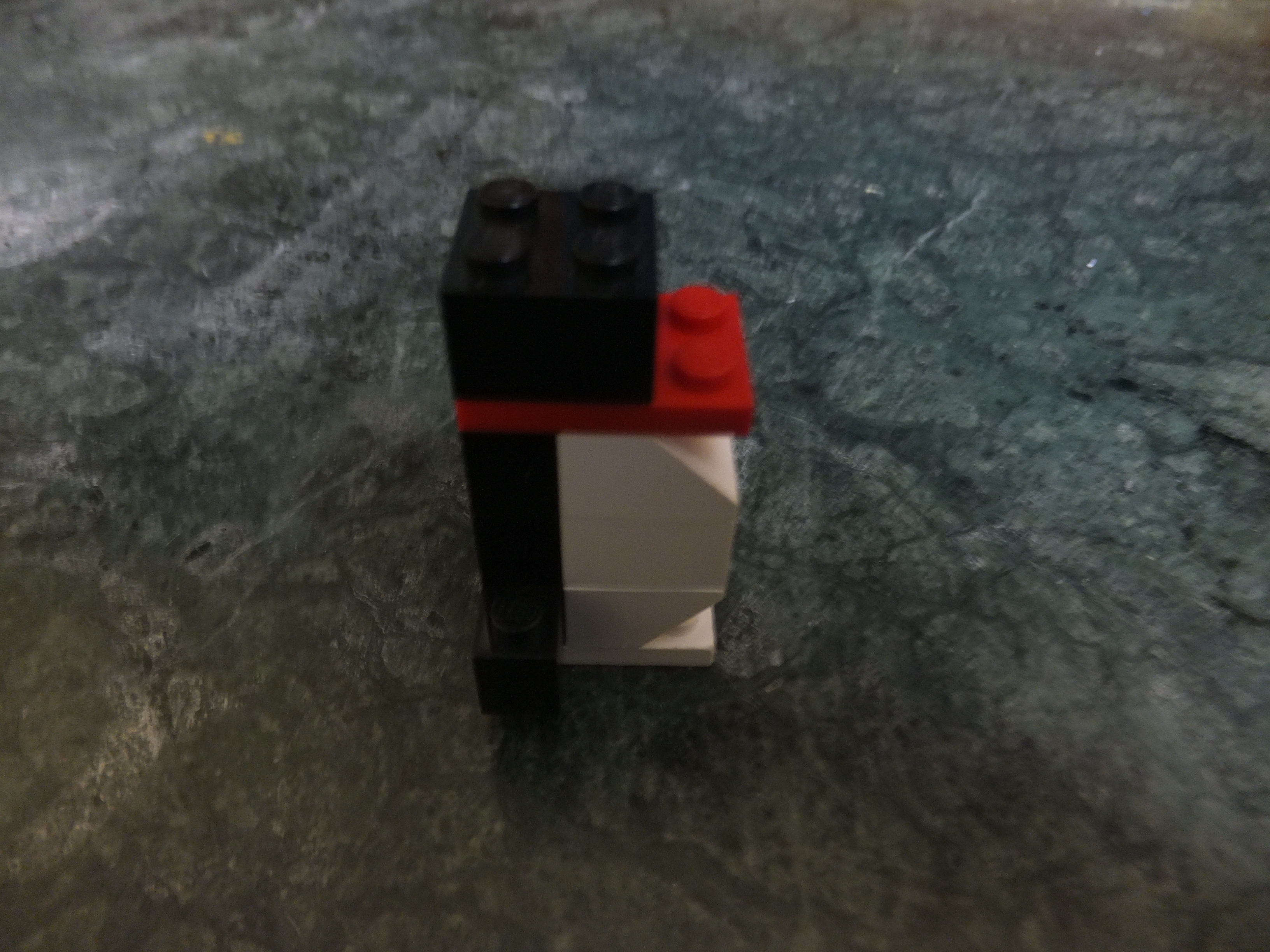 DSCF9810.JPG