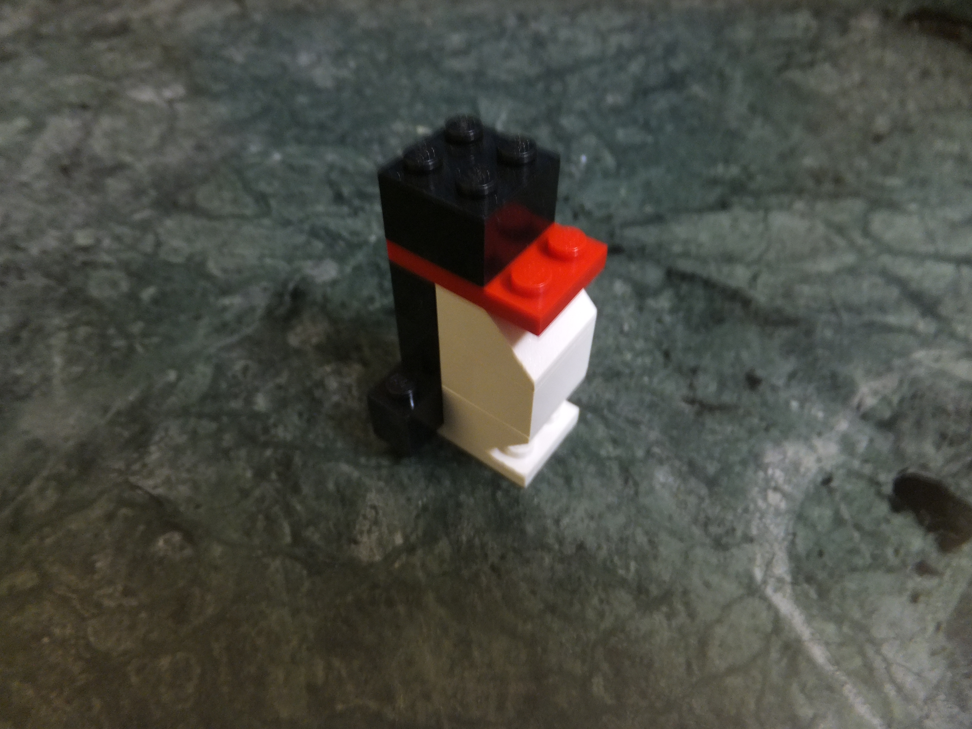 DSCF9812.JPG