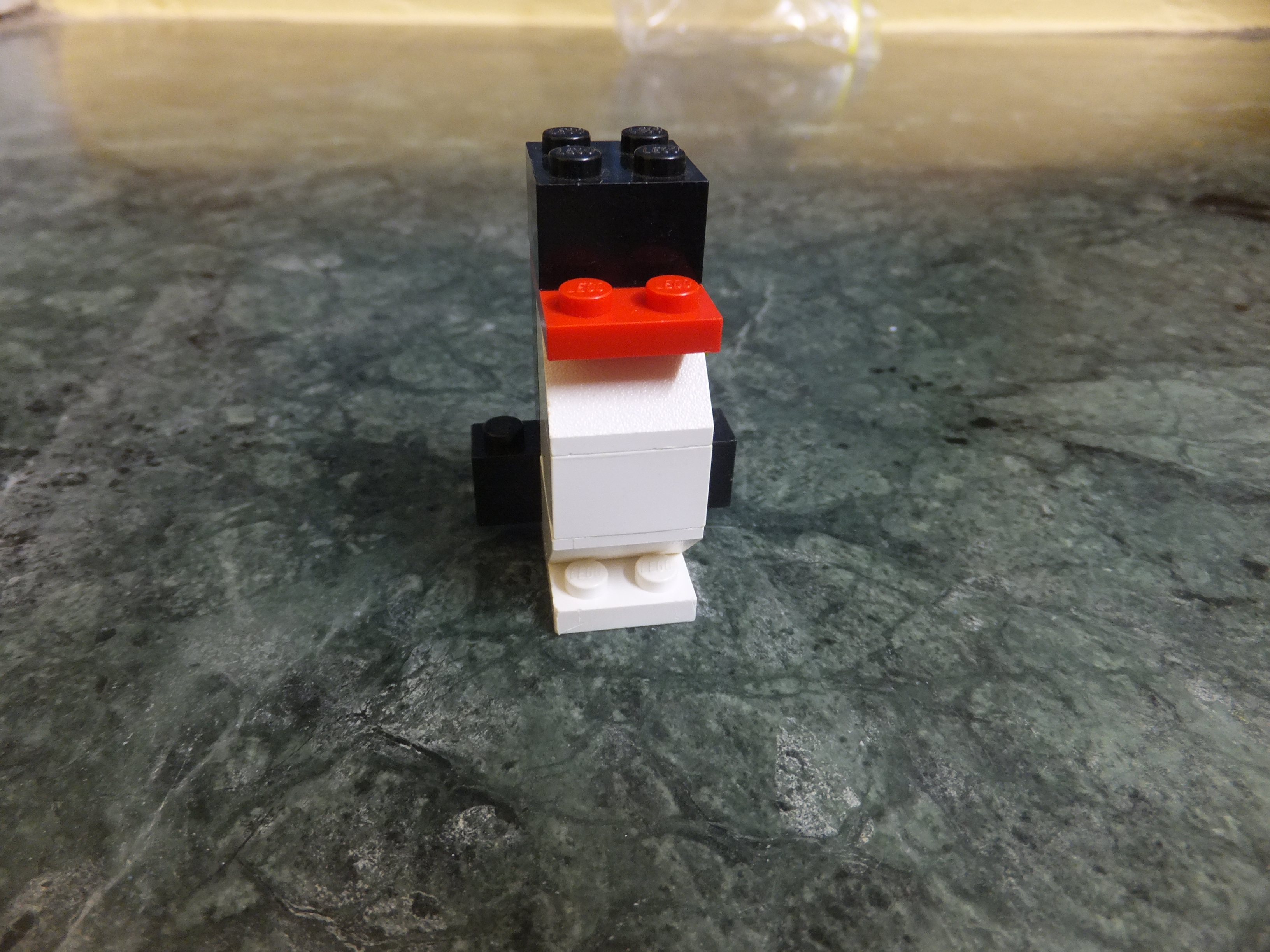 DSCF9827.JPG