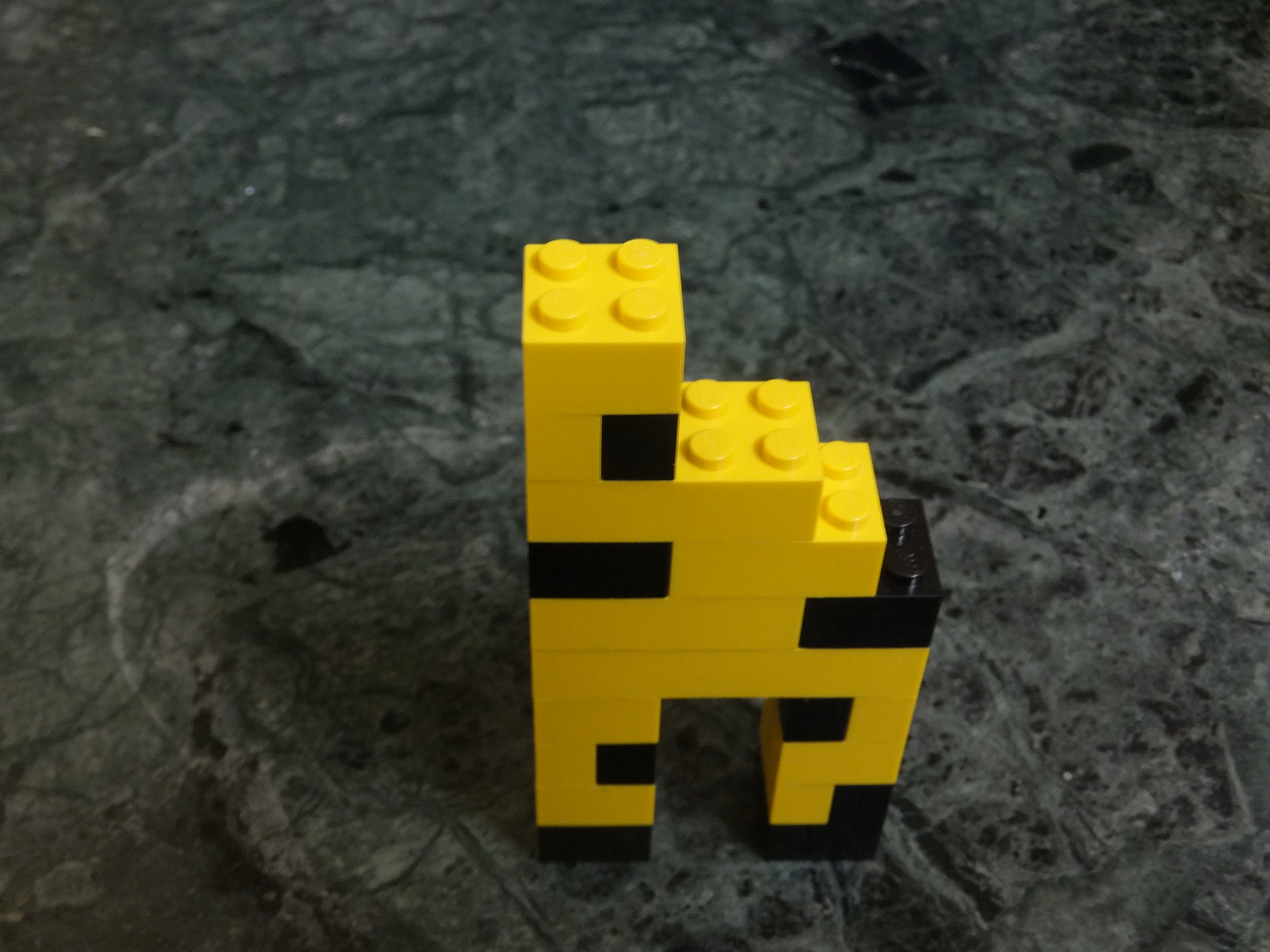 DSCF9838.JPG