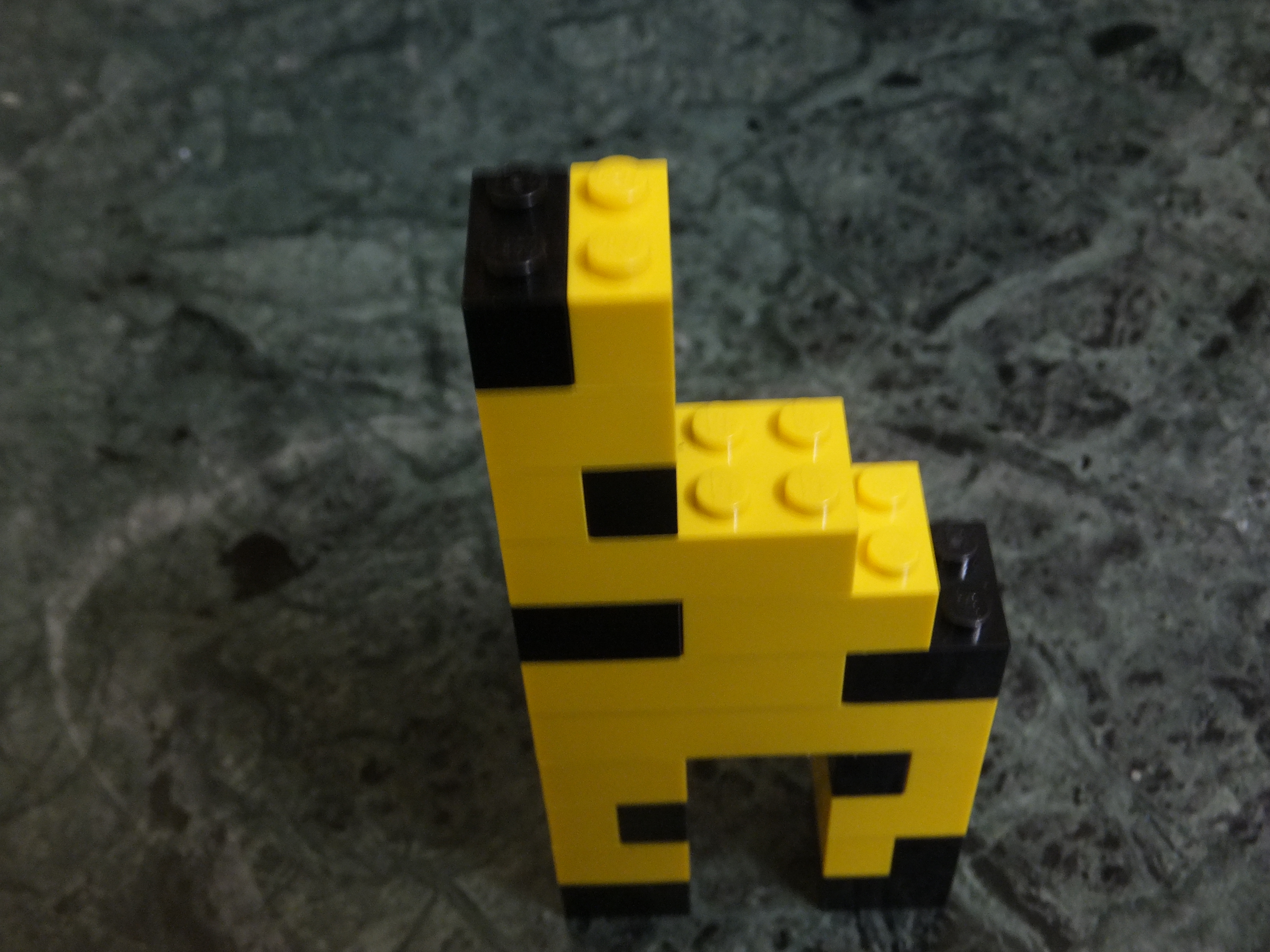 DSCF9840.JPG
