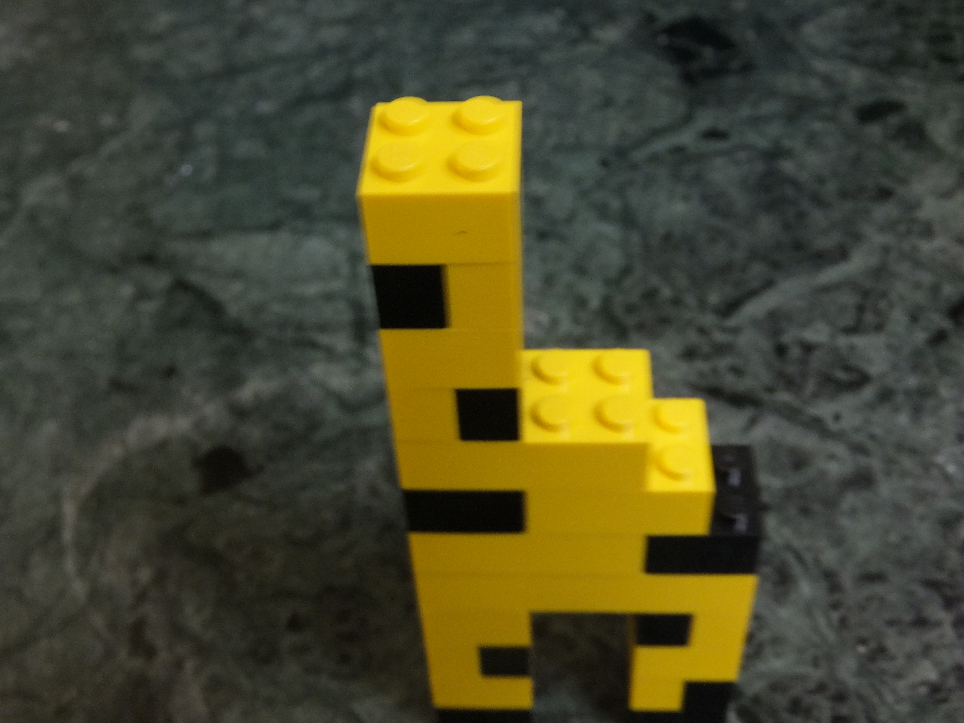 DSCF9841.JPG