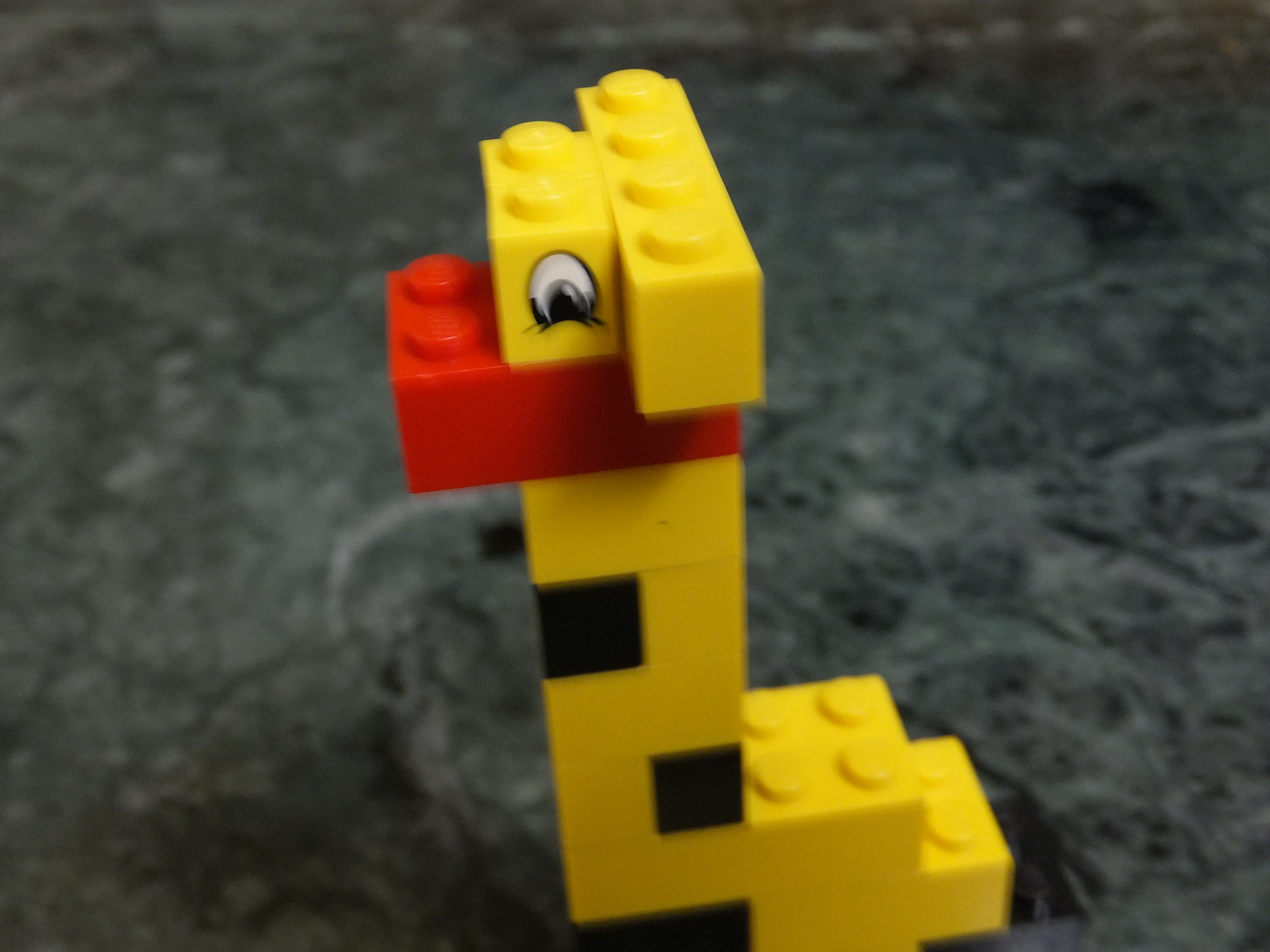 DSCF9844.JPG
