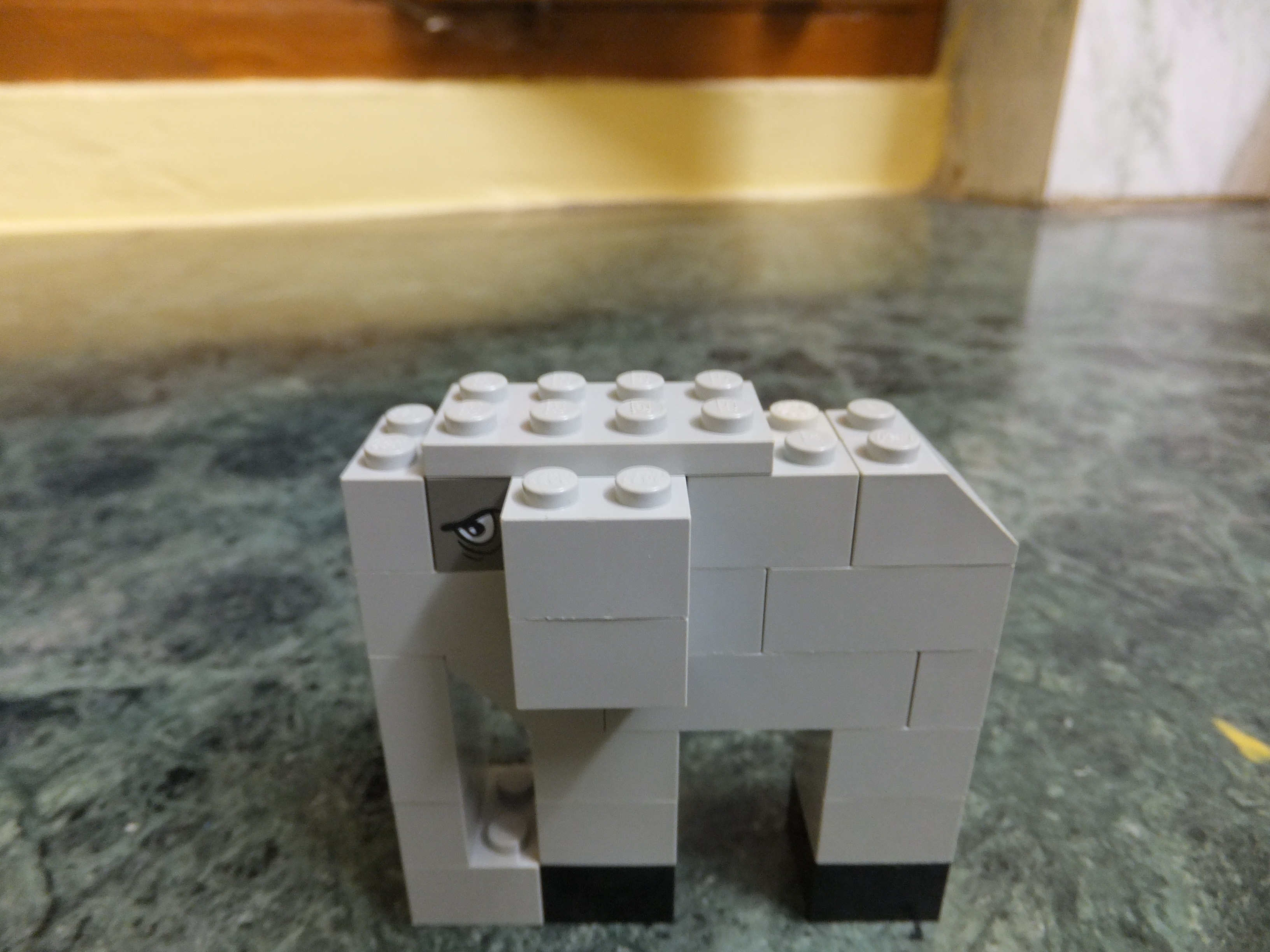 DSCF9874.JPG