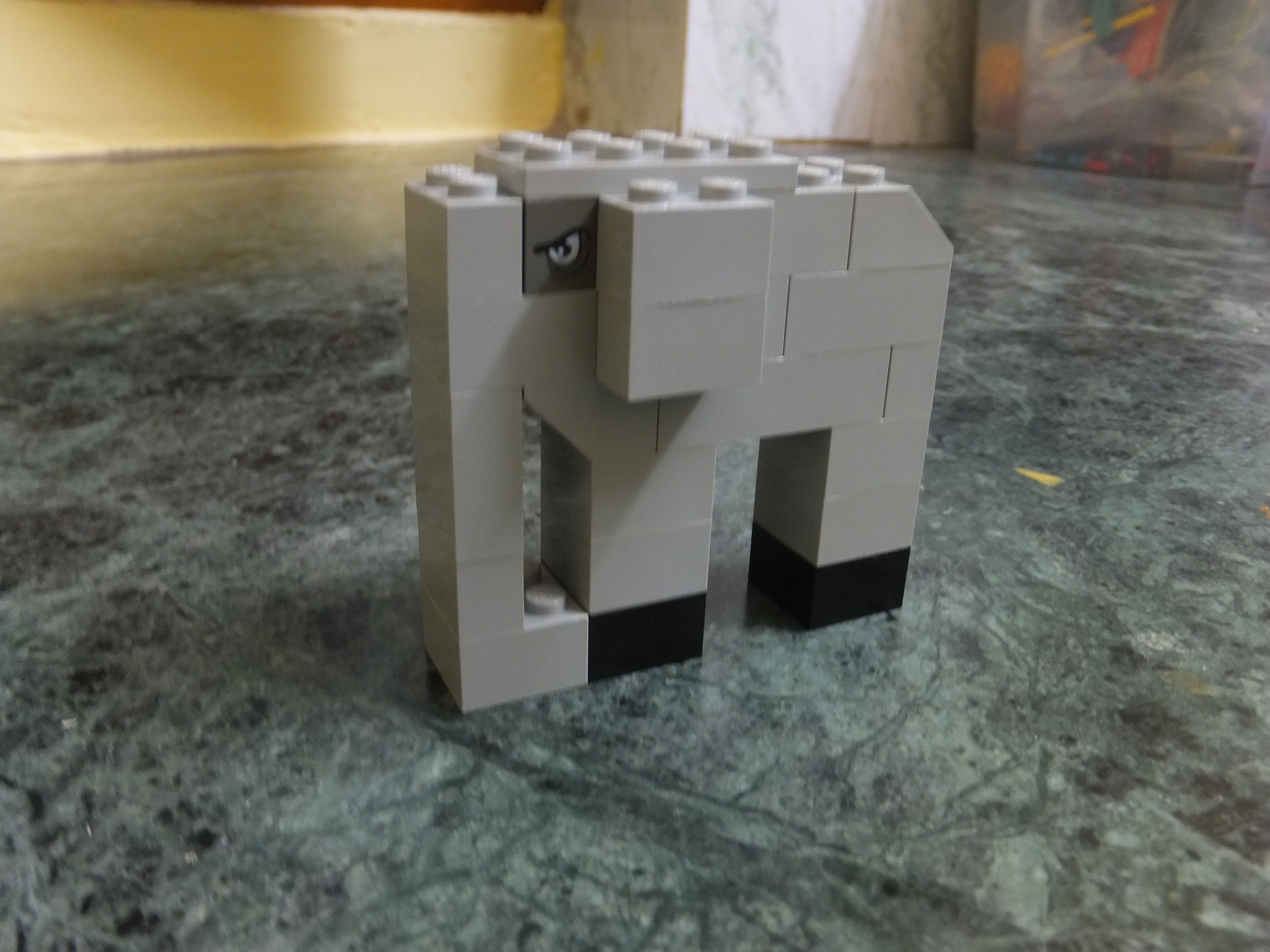 DSCF9875.JPG
