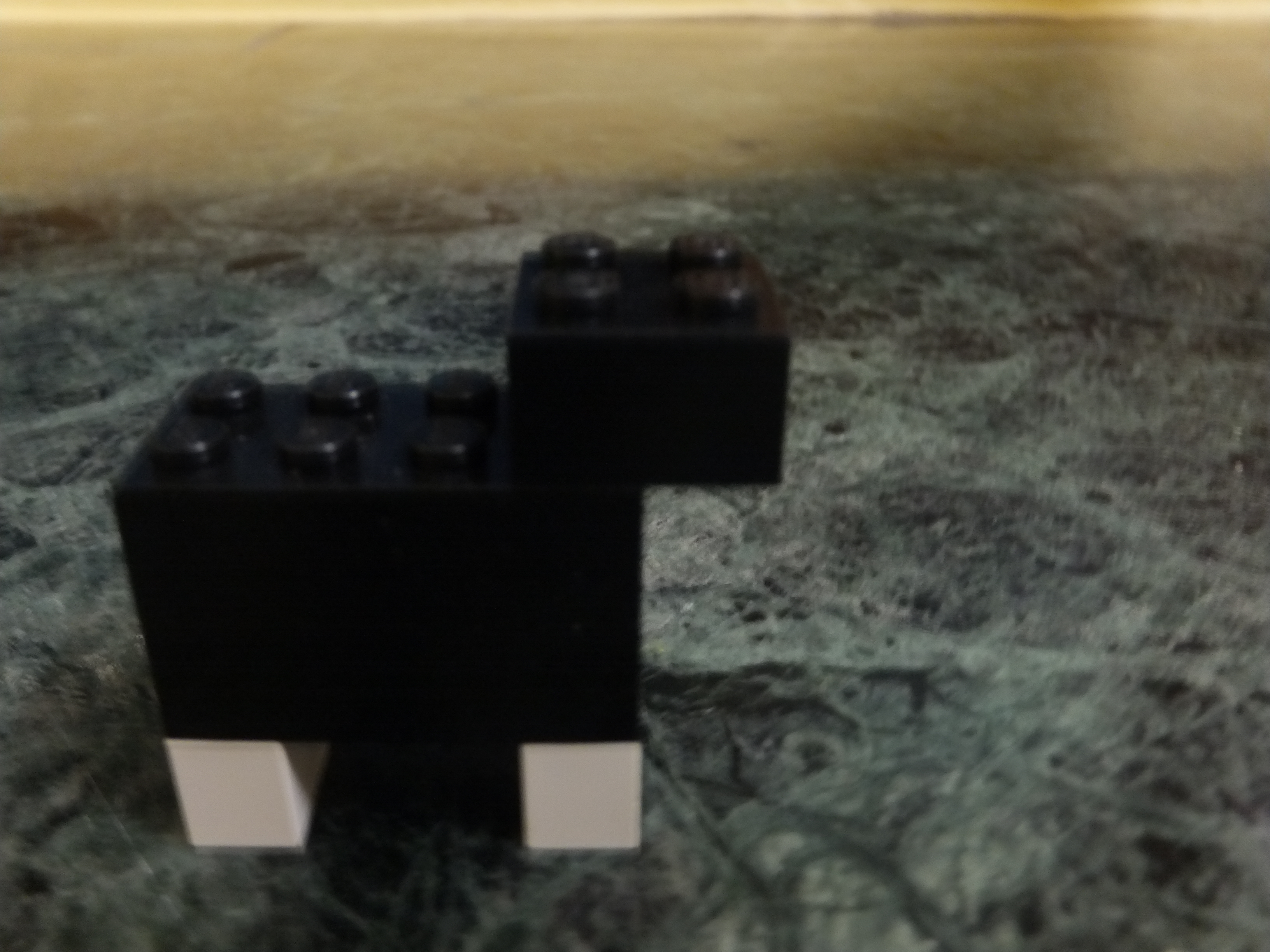 DSCF9879.JPG