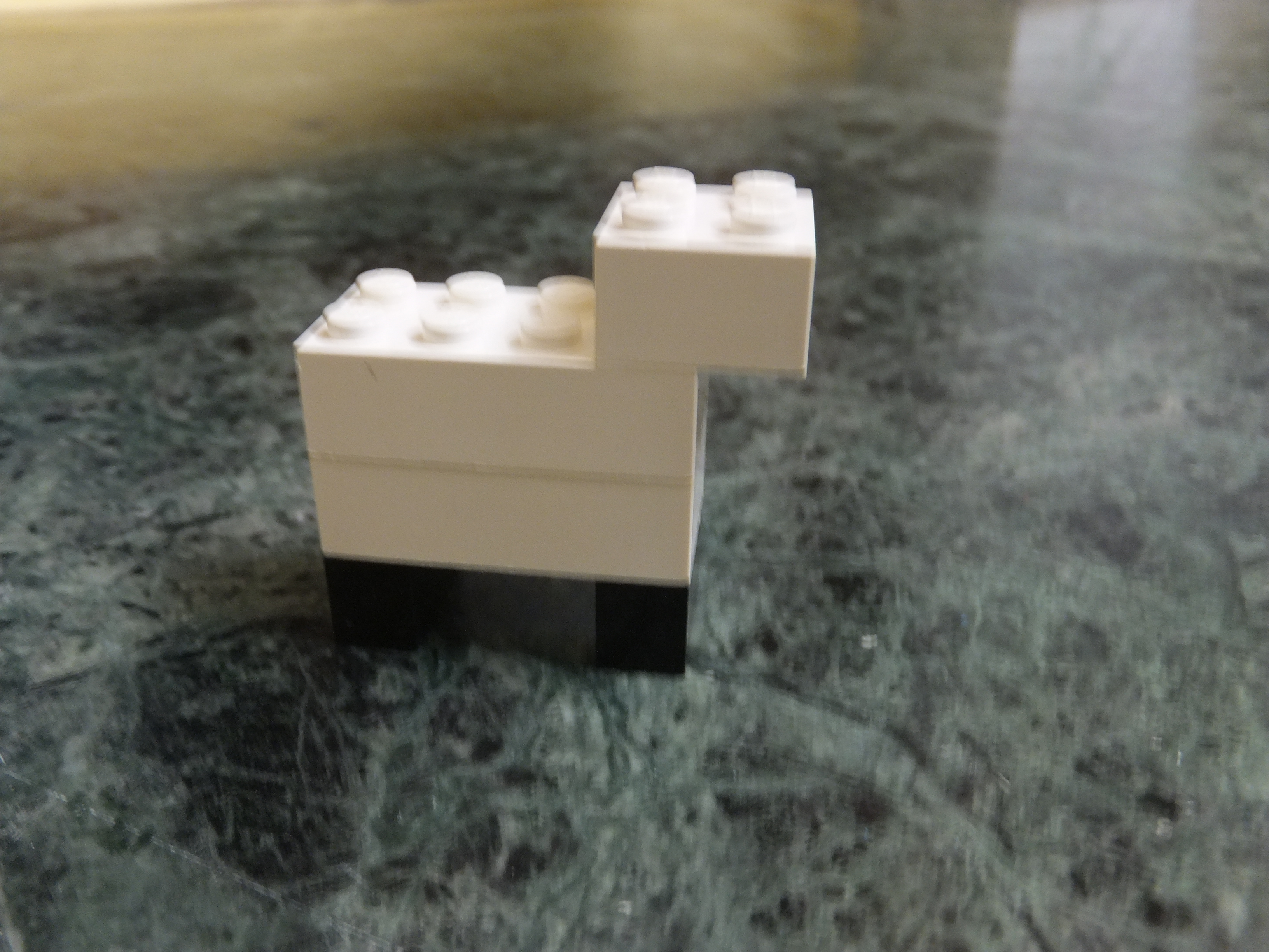 DSCF9885.JPG
