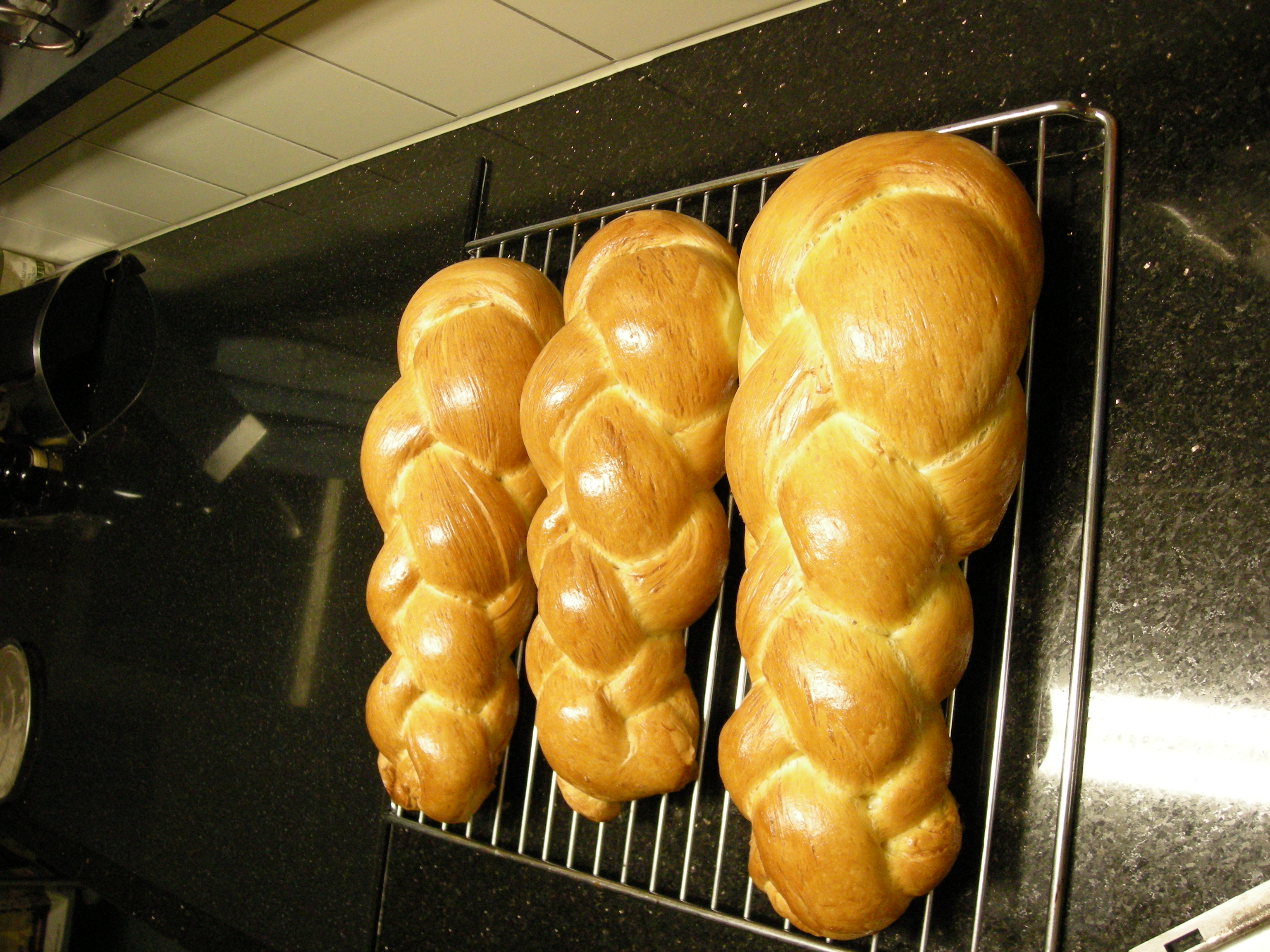 DSCN0214.JPG