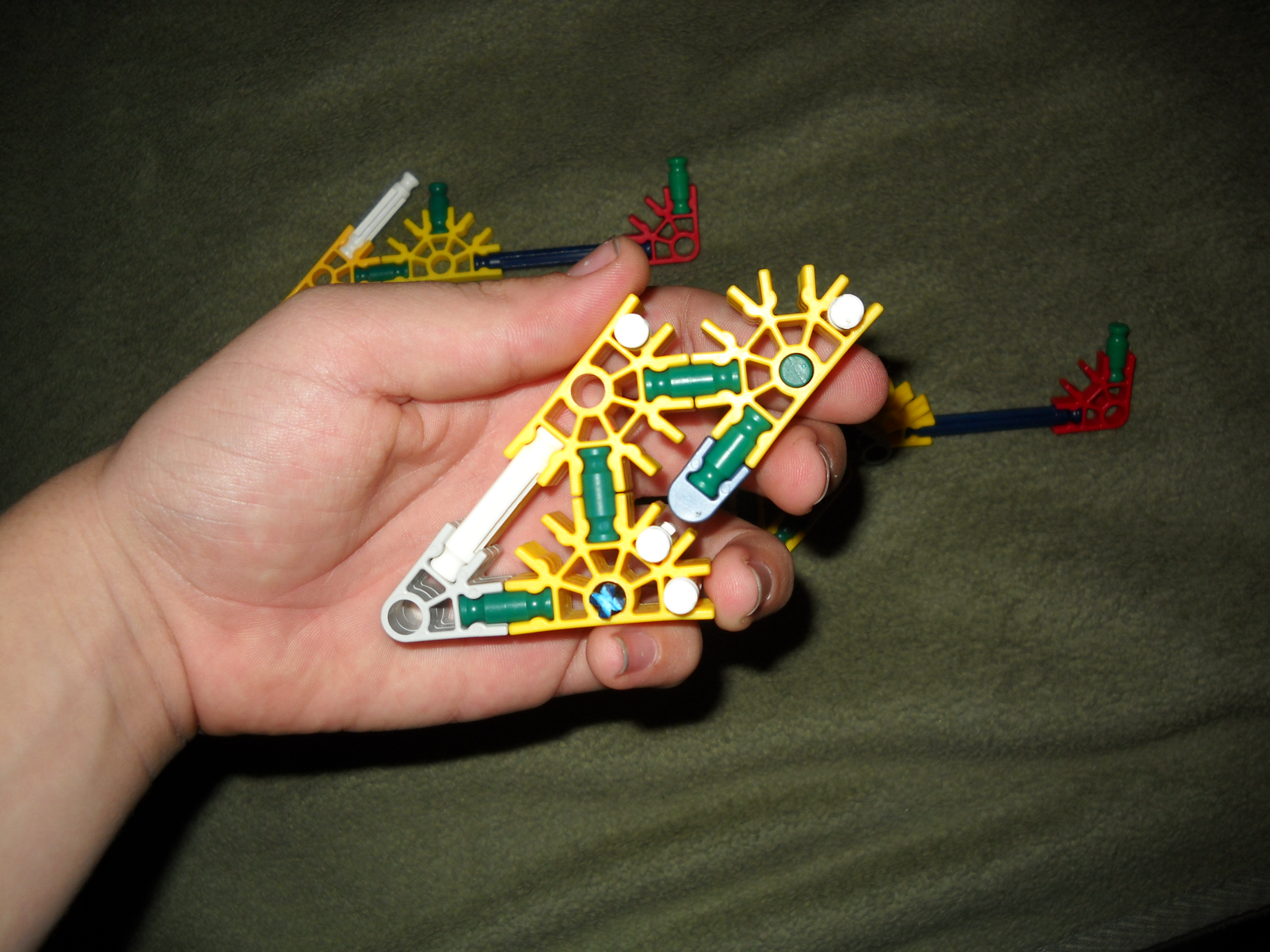 DSCN0537.JPG