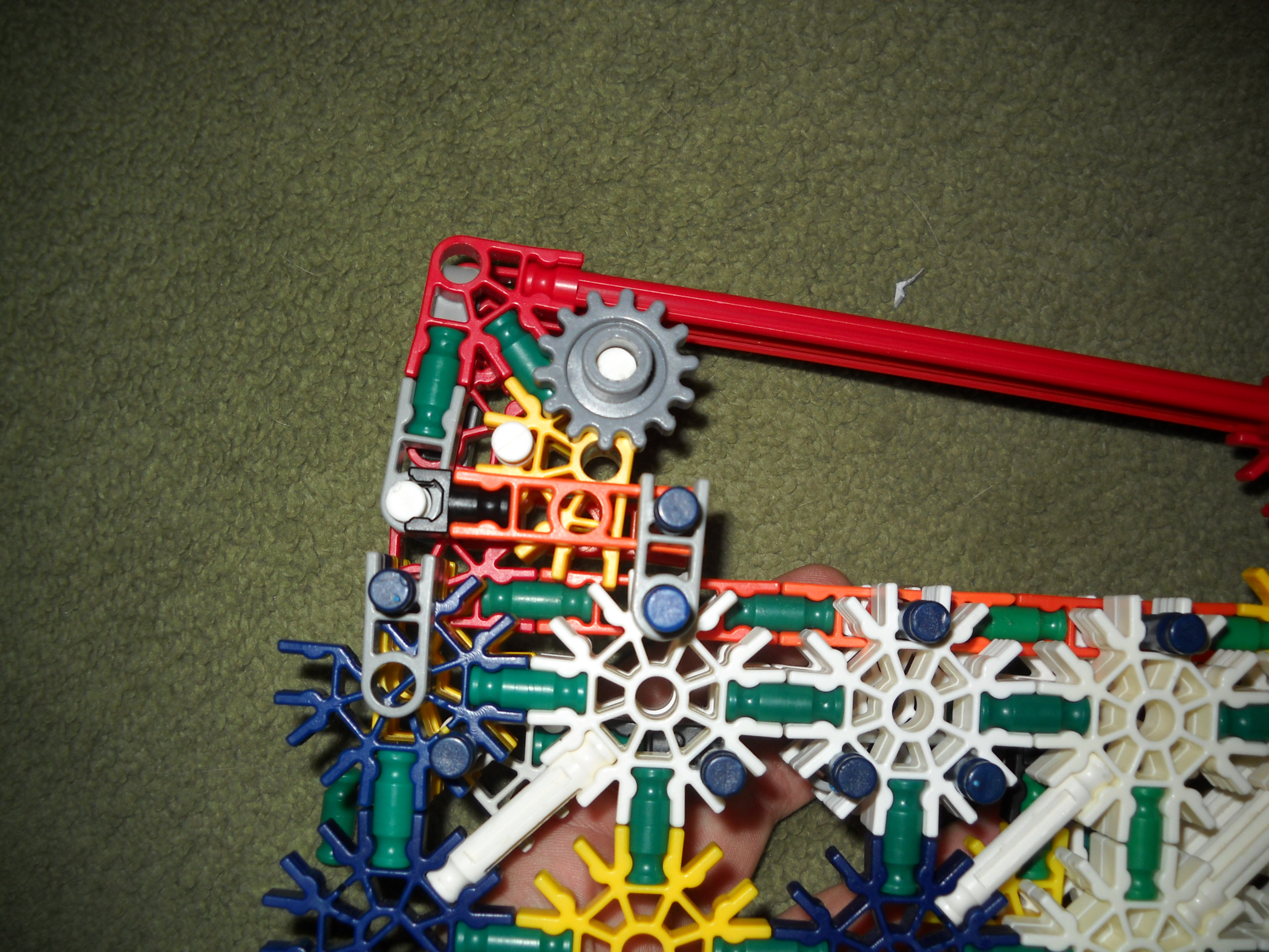DSCN0557.JPG