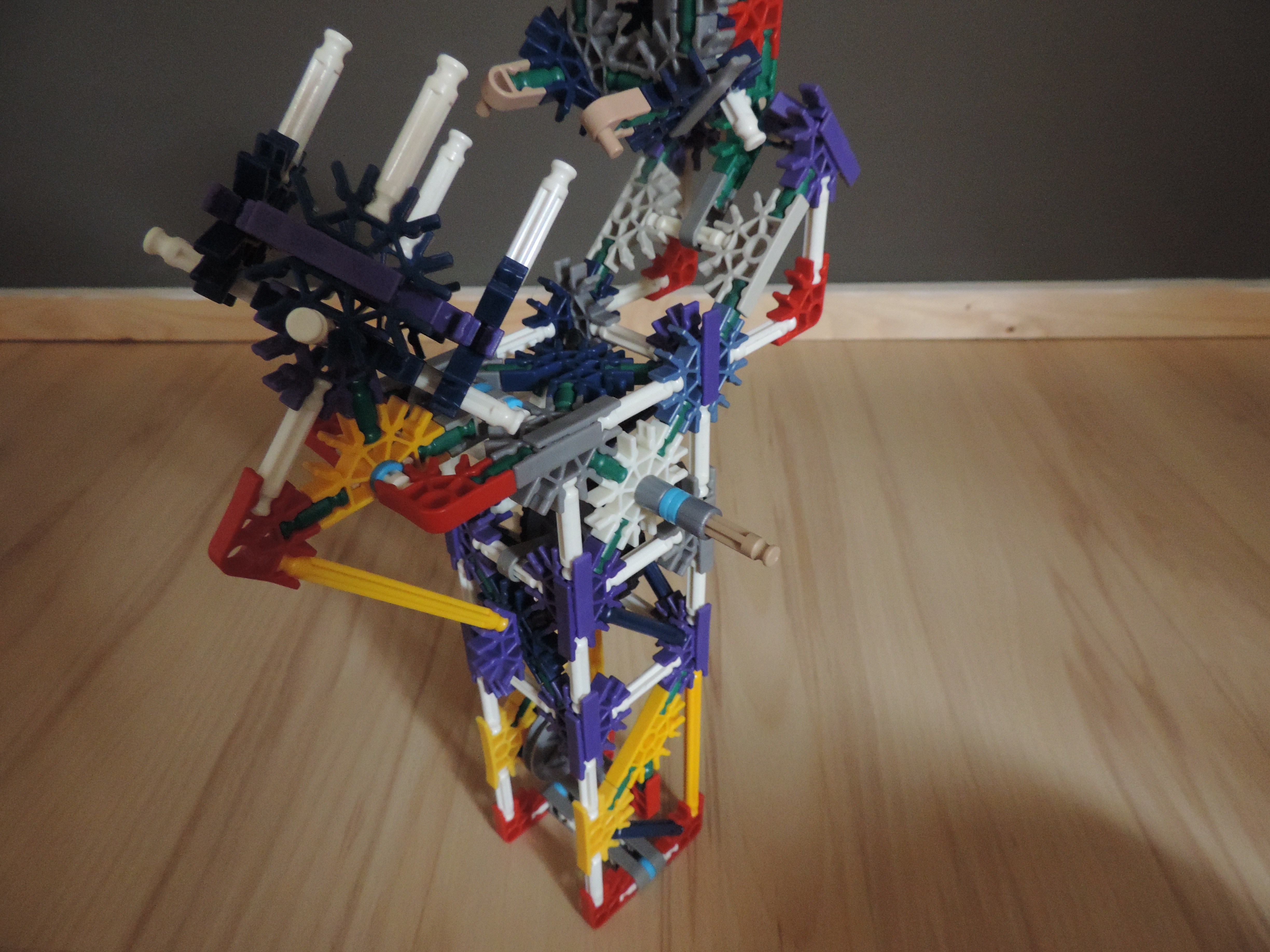 DSCN1032.JPG