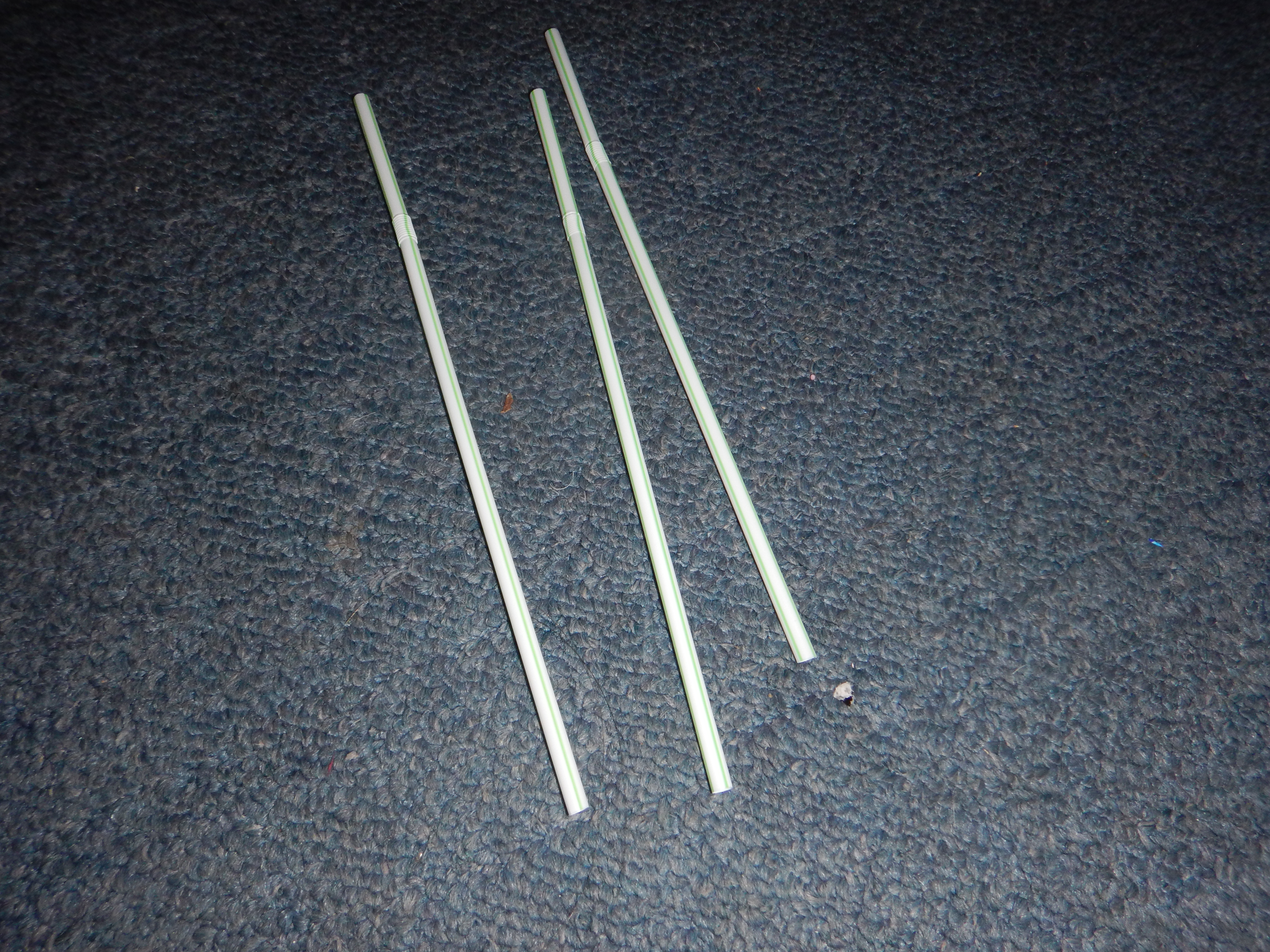 DSCN1084.JPG