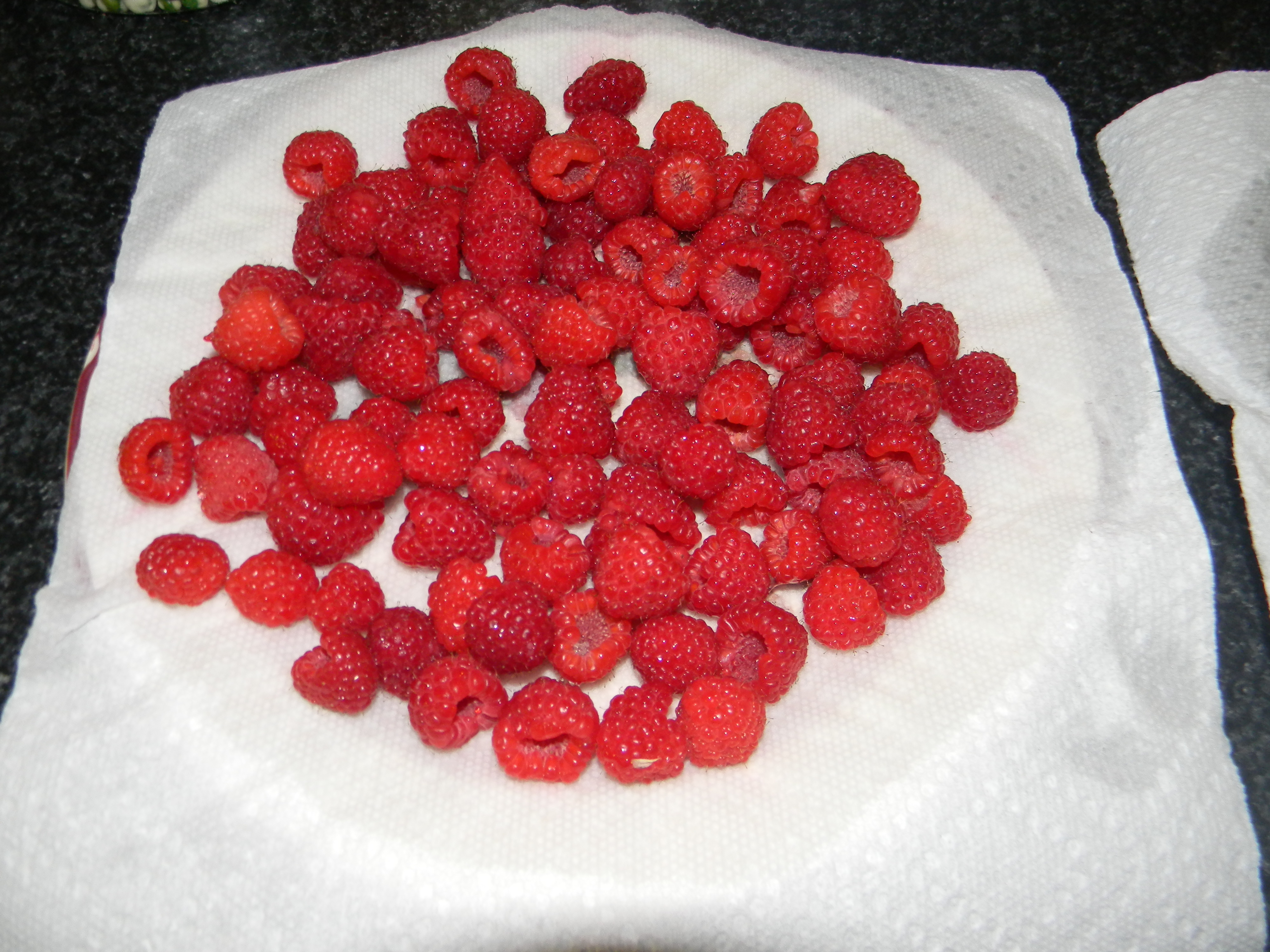 DSCN1747.JPG
