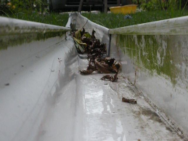 DSCN2284f.JPG