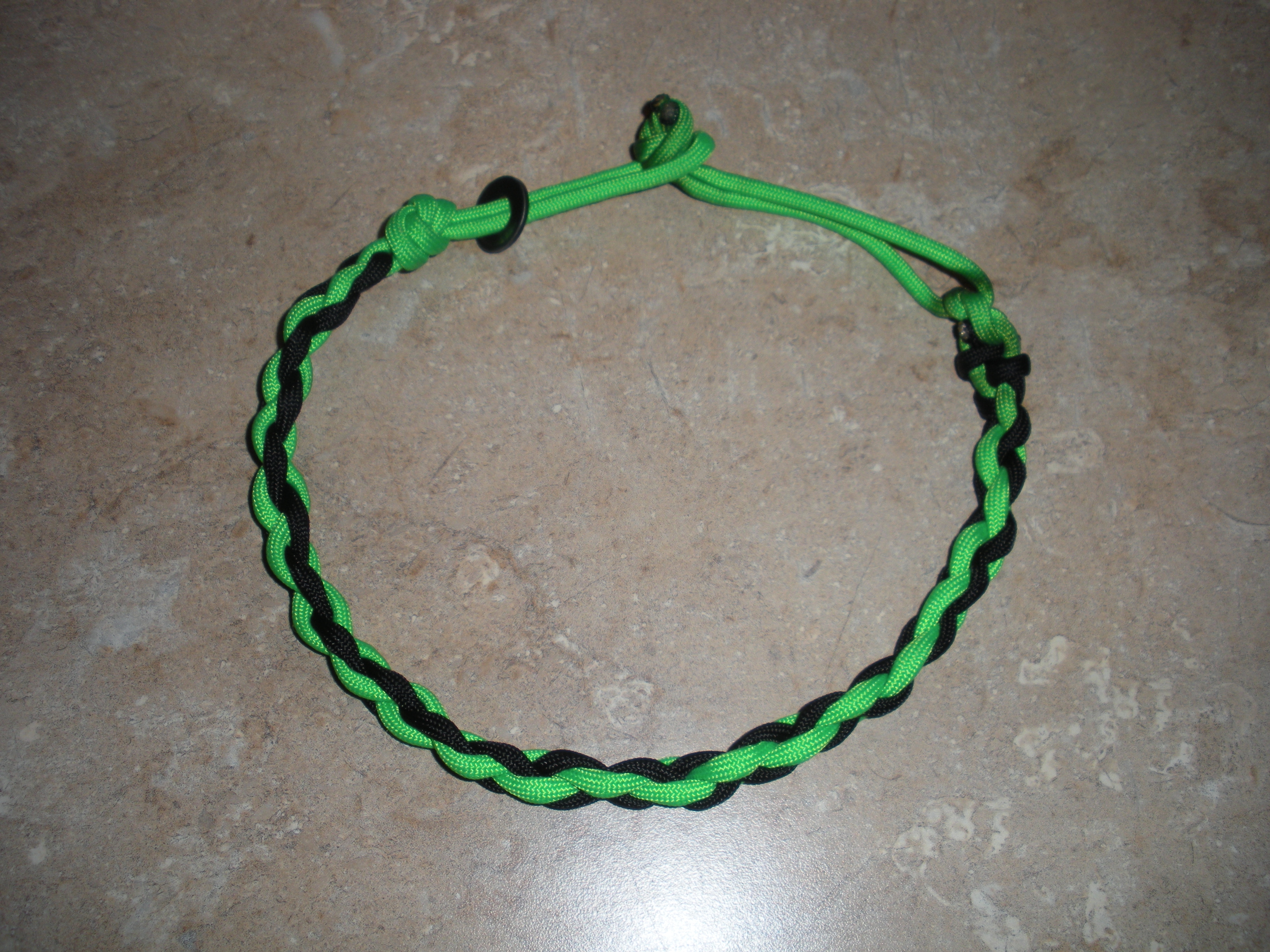 DSCN2648.jpg