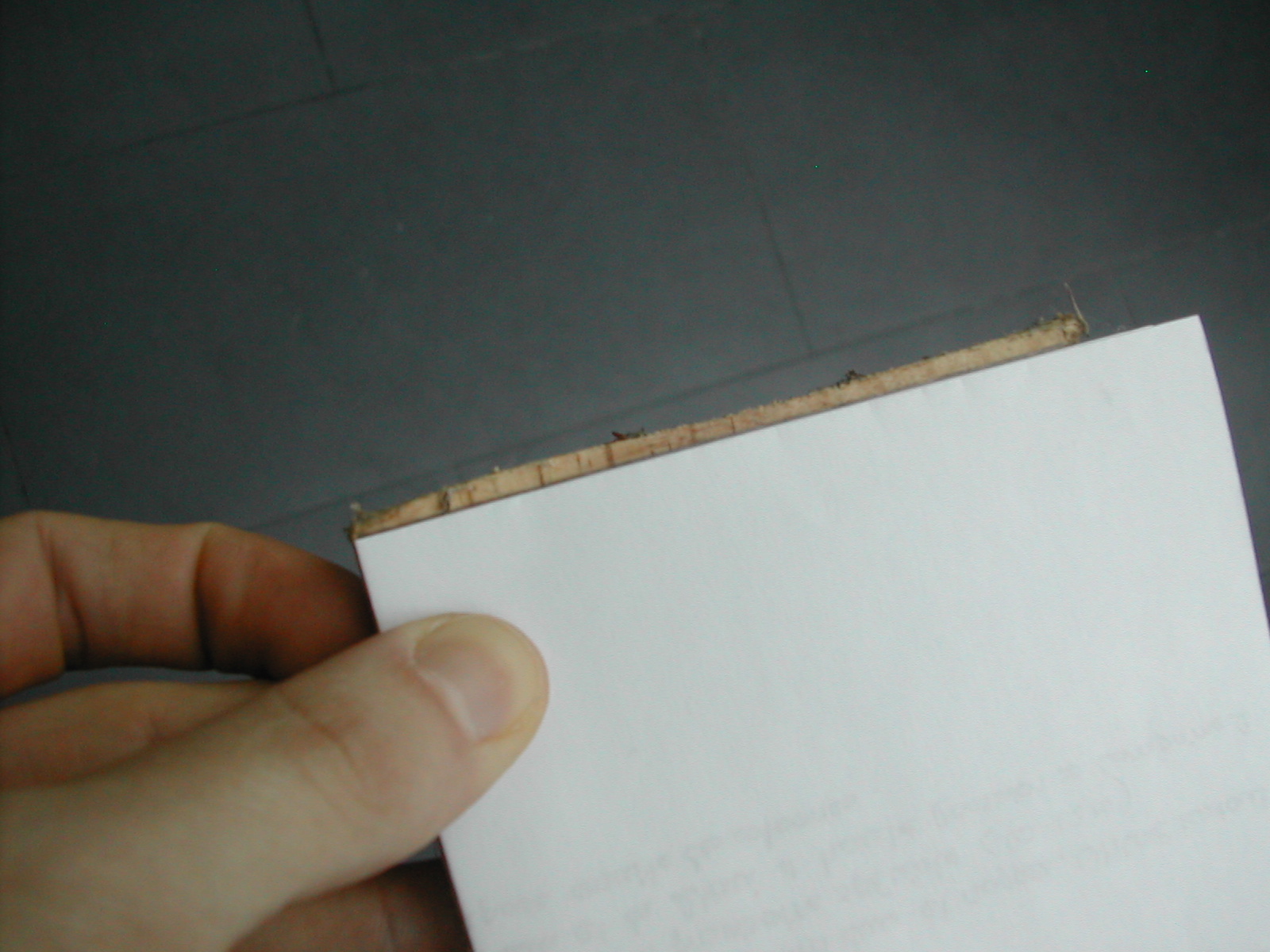 DSCN3251.JPG