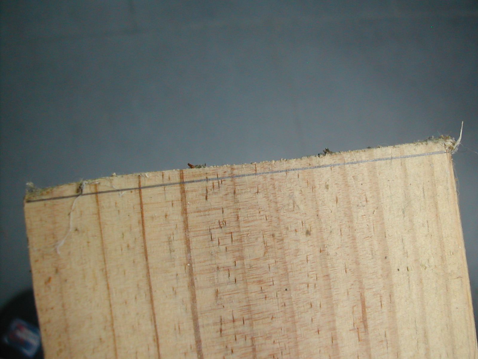 DSCN3252.JPG