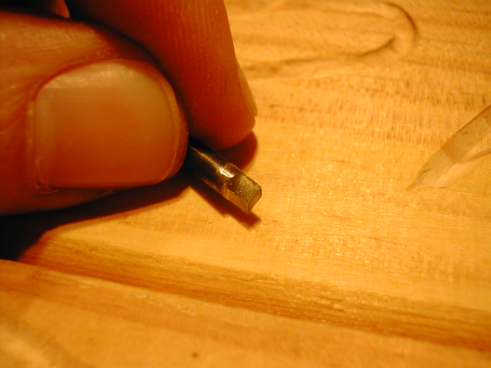 DSCN3287.JPG