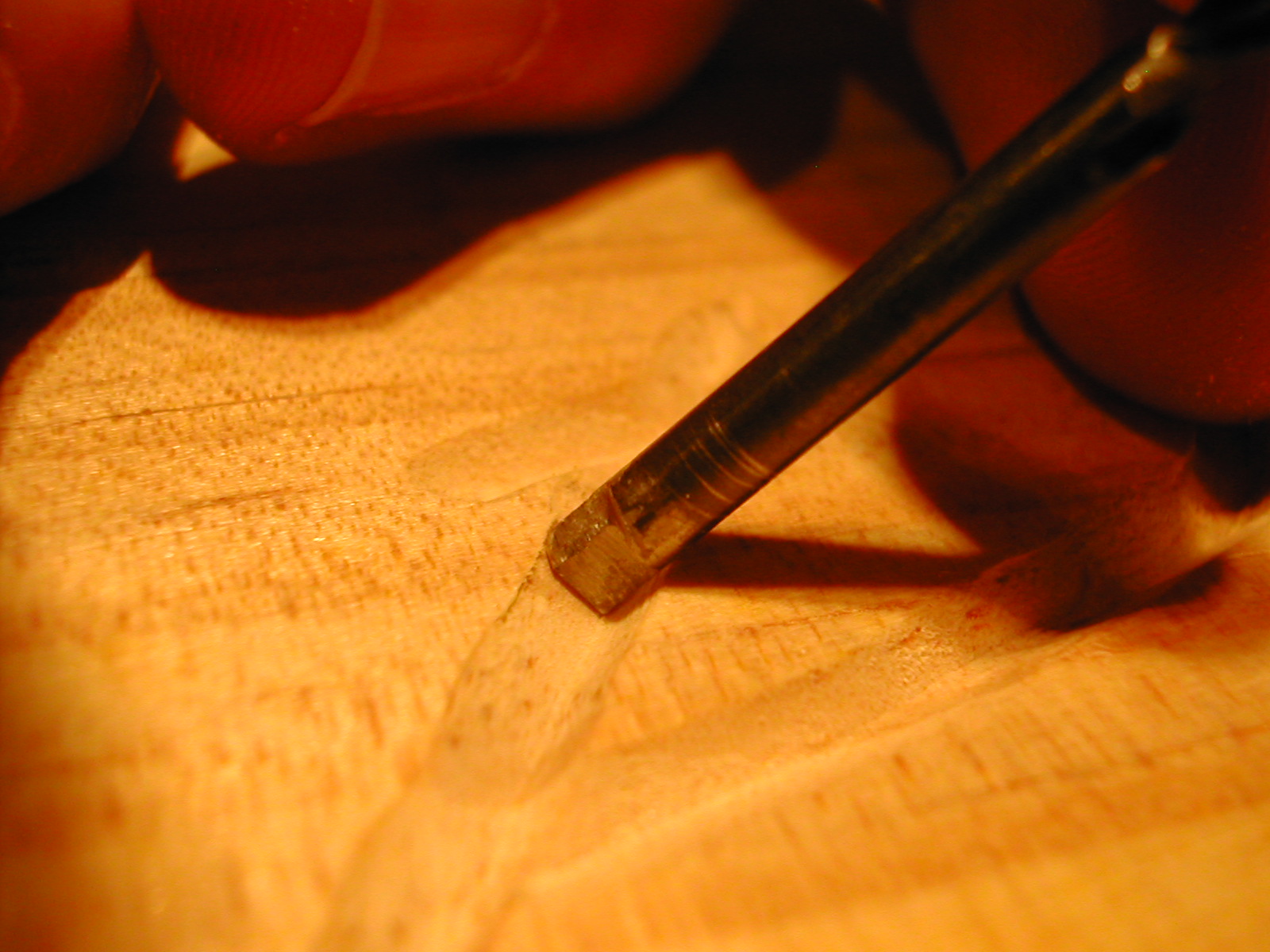 DSCN3290.JPG