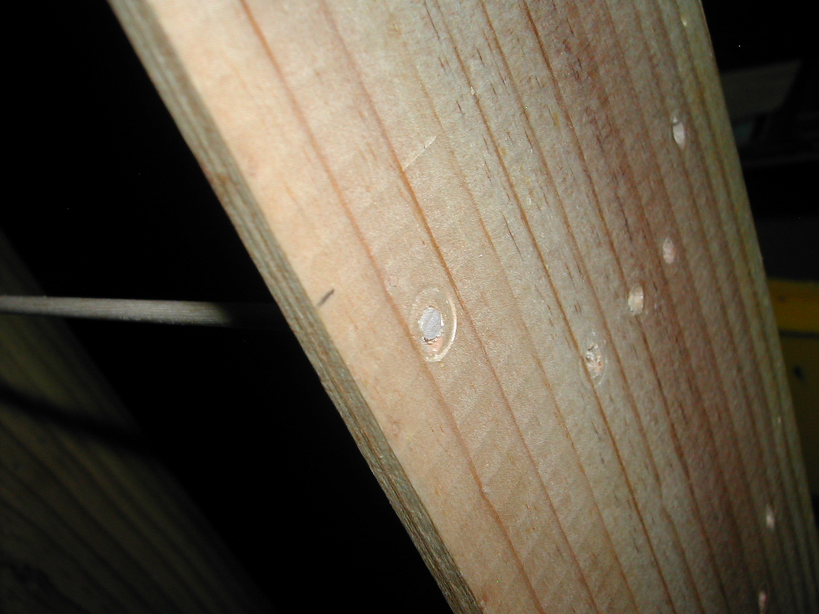 DSCN3311.JPG