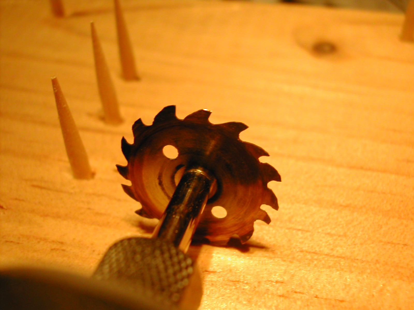 DSCN3316.JPG