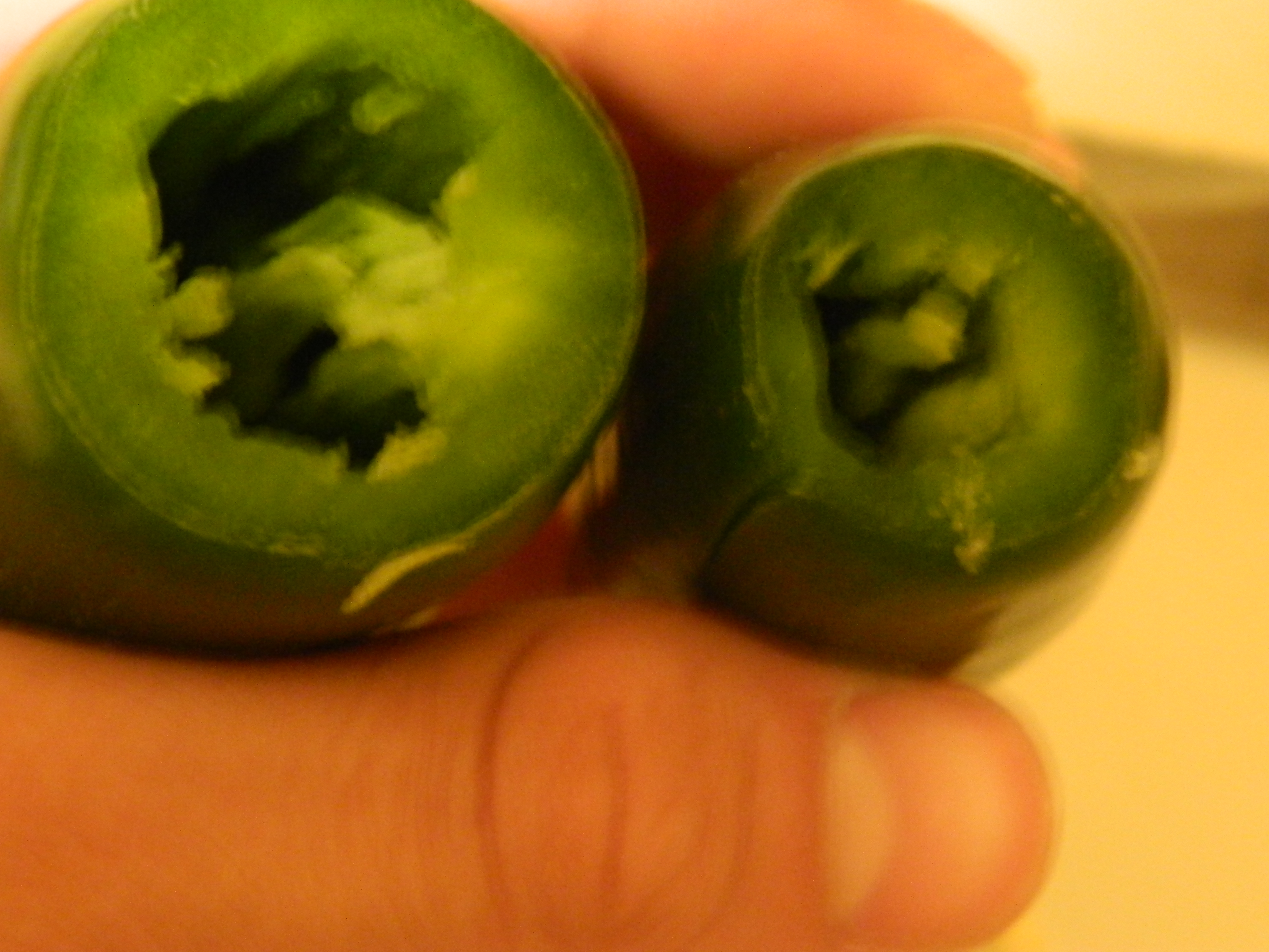 DSCN3727.JPG