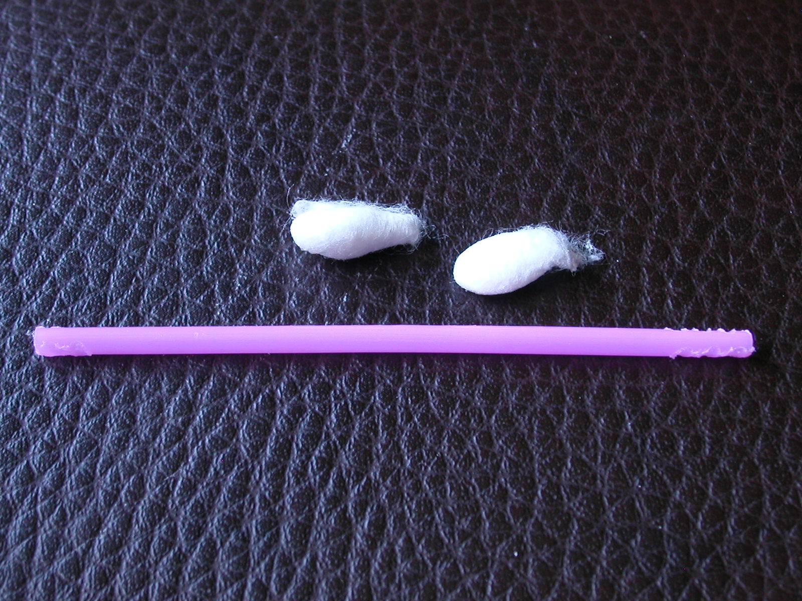 DSCN4720.JPG