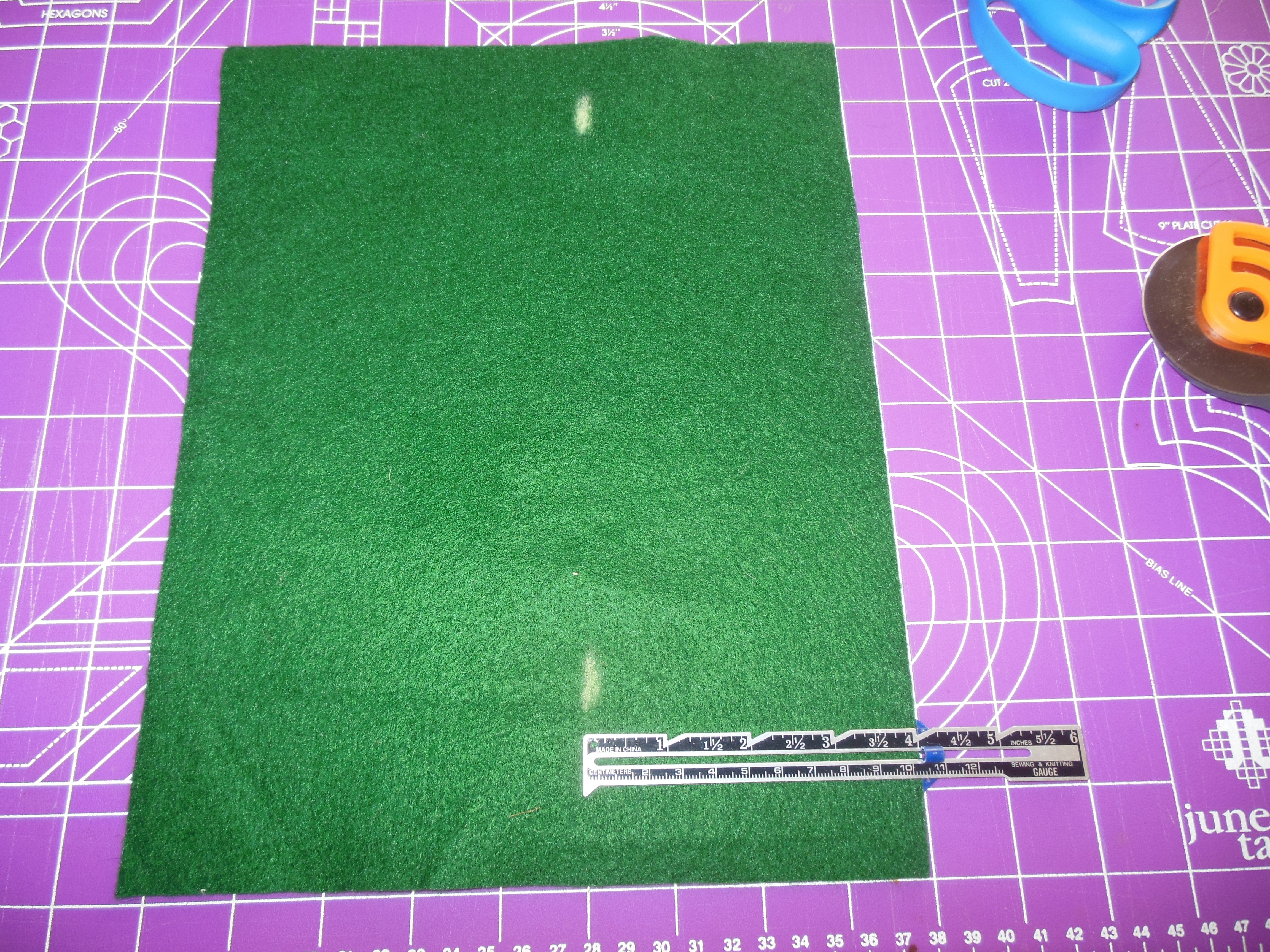 DSCN4812.JPG