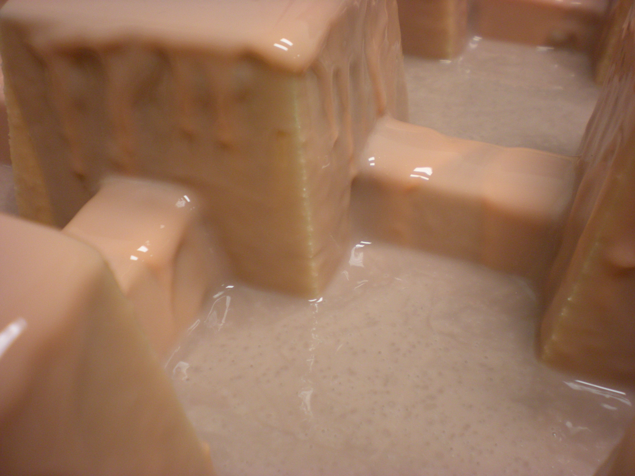 DSCN5480.JPG