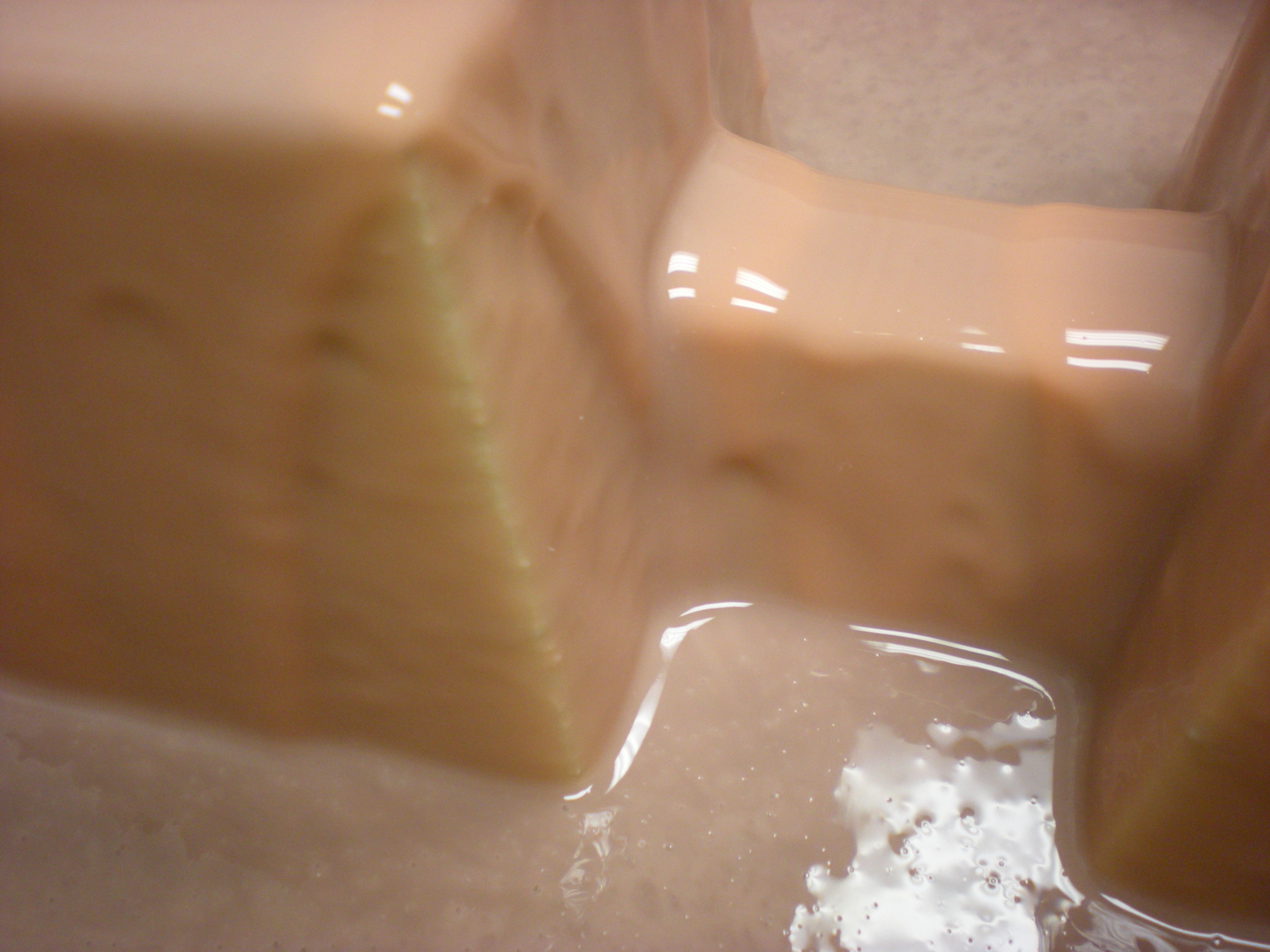 DSCN5481.JPG