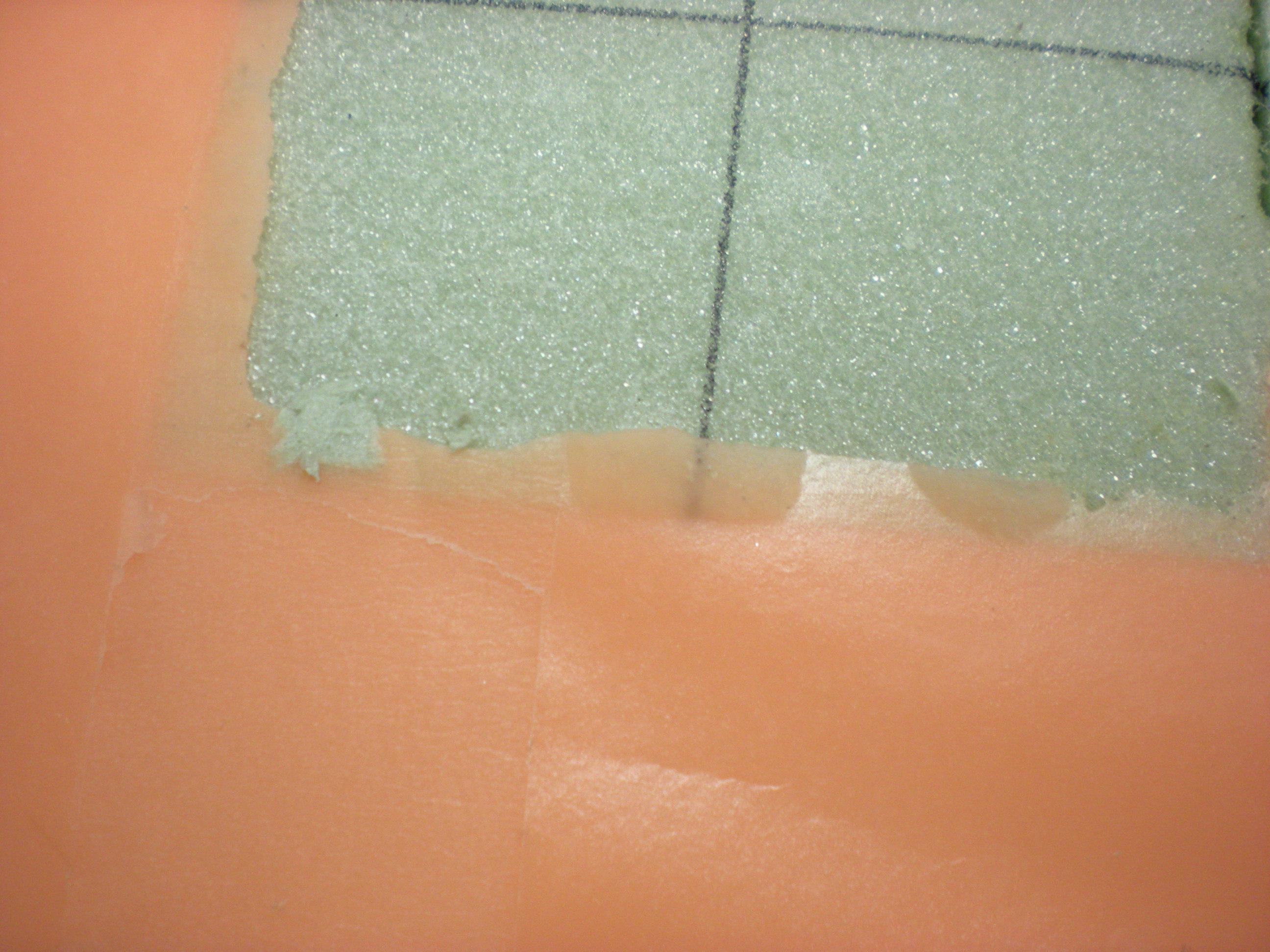 DSCN5520.JPG