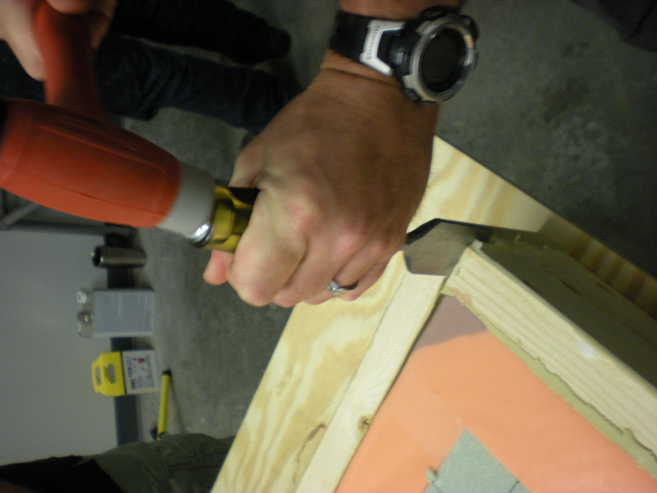 DSCN5530.JPG