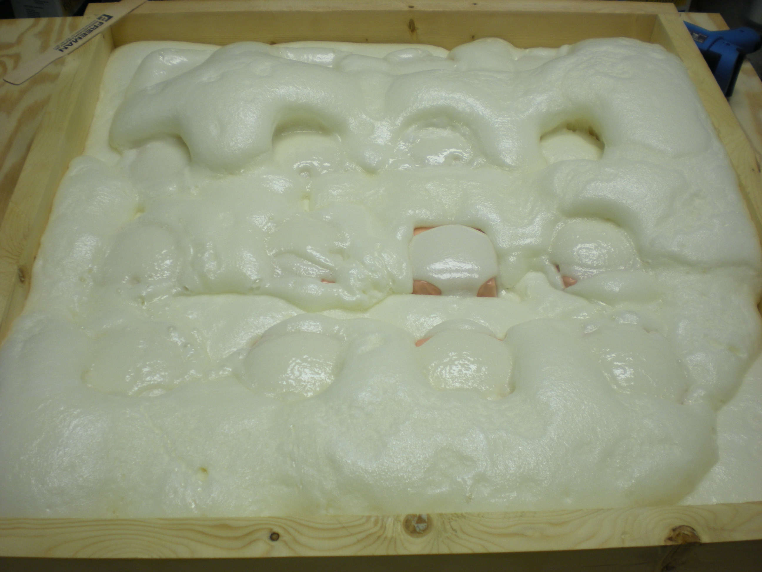 DSCN5543.JPG