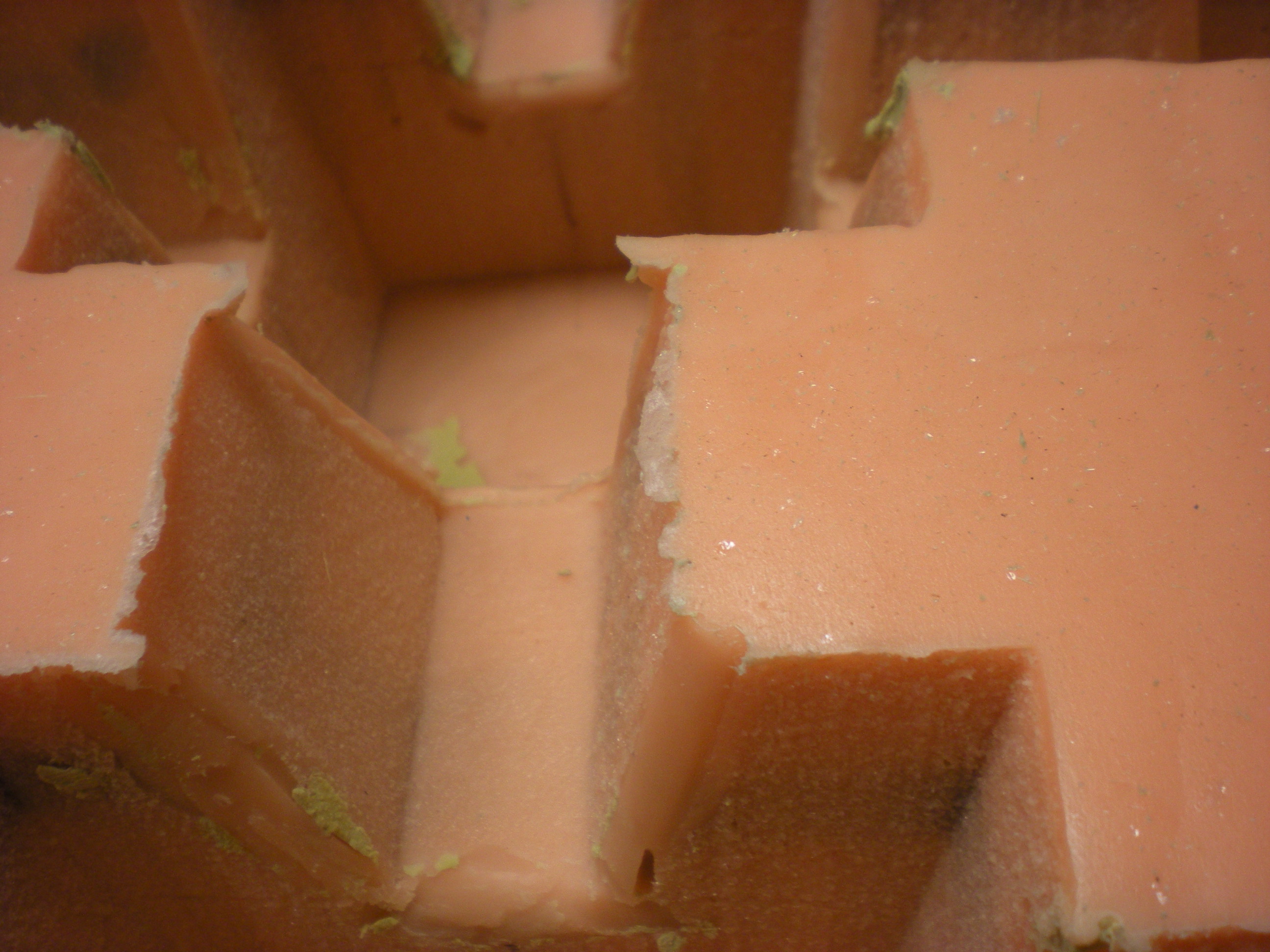 DSCN5559.JPG