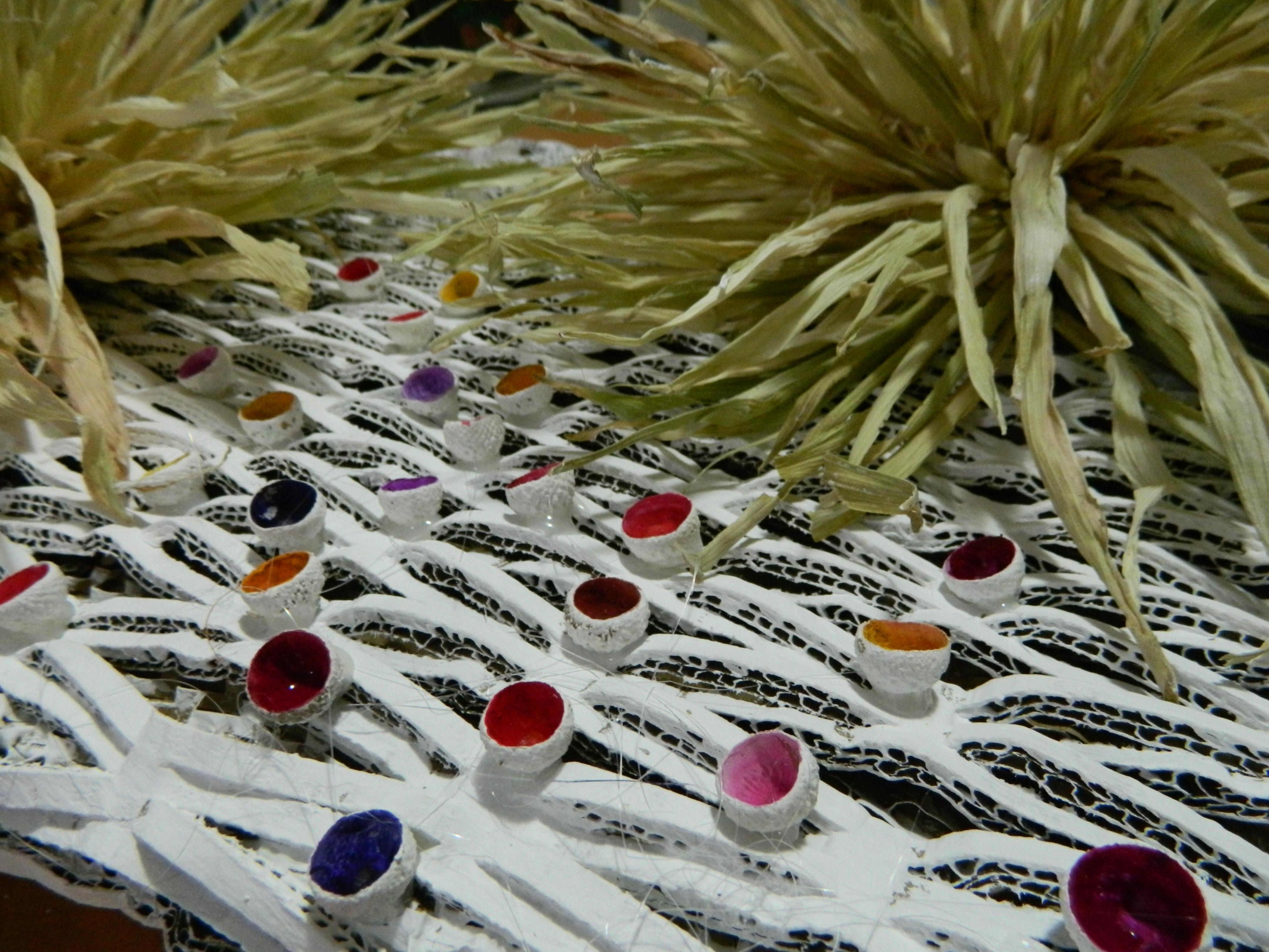 DSCN6273.JPG